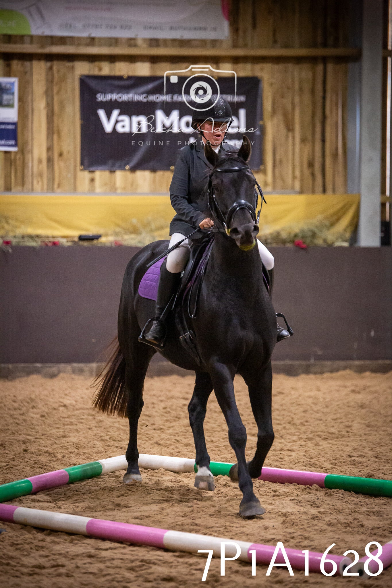 JHOYS 2025 - Show Jumping - 19th September pt1
