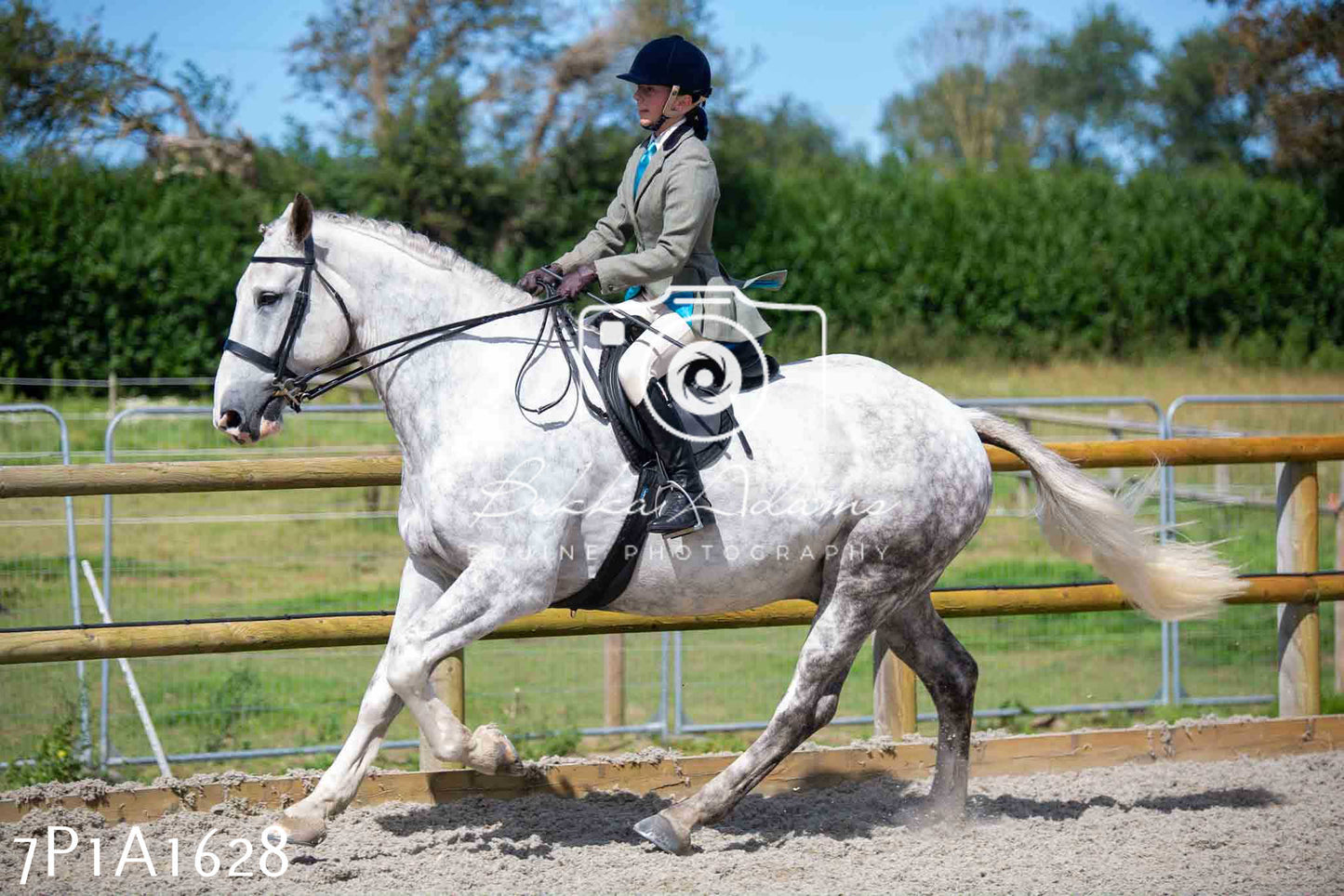 Home Farm Annual Show -Ridden Showing 20th August 2023