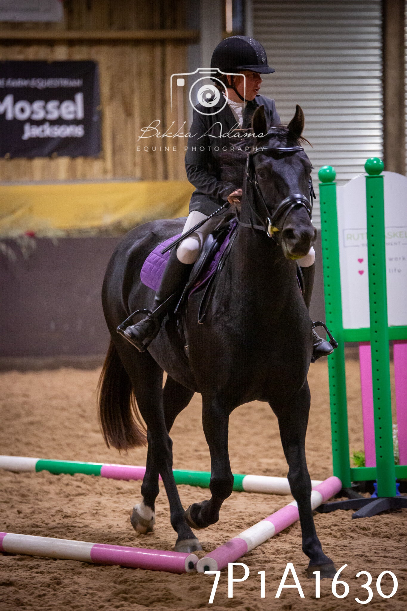 JHOYS 2025 - Show Jumping - 19th September pt1