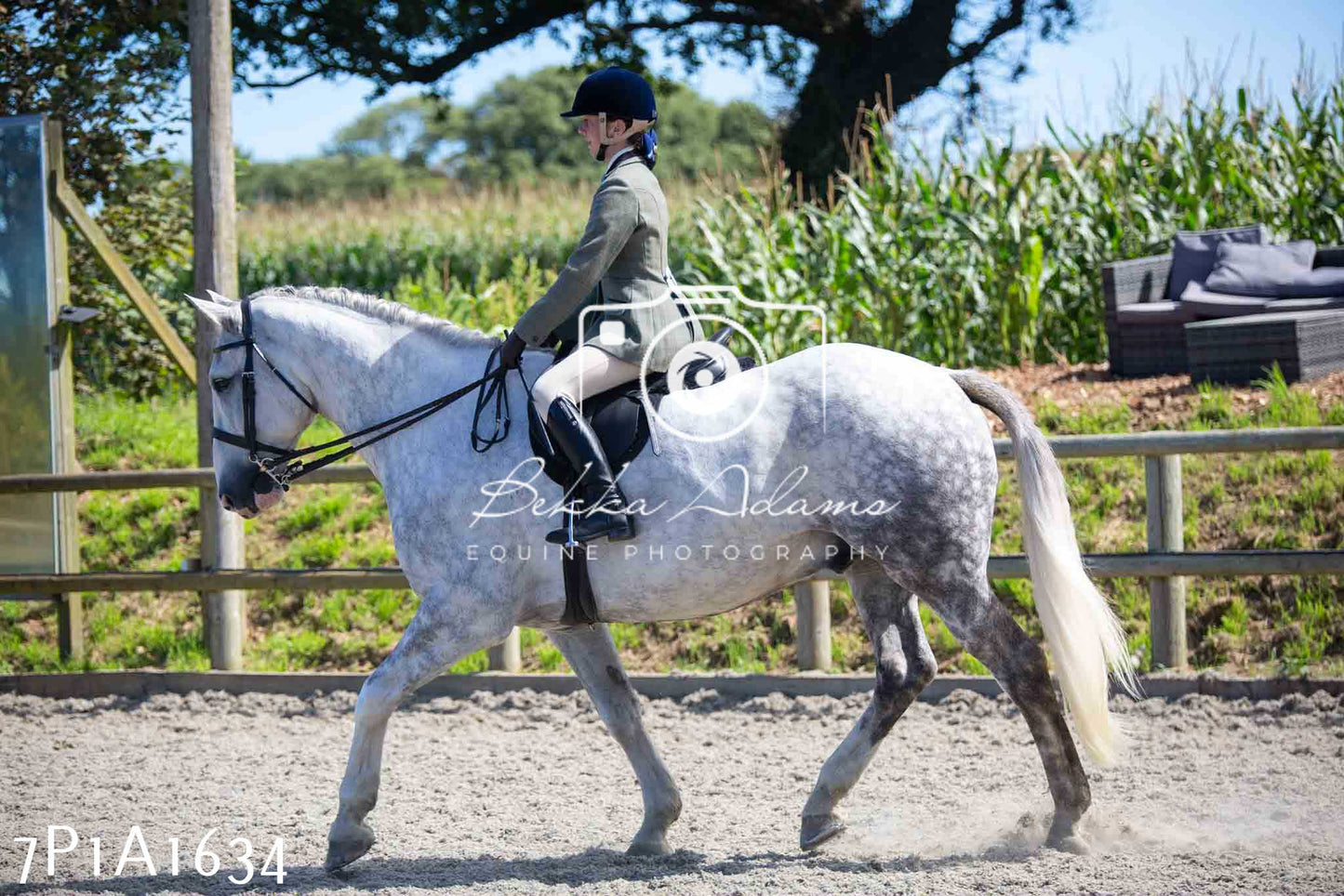 Home Farm Annual Show -Ridden Showing 20th August 2023
