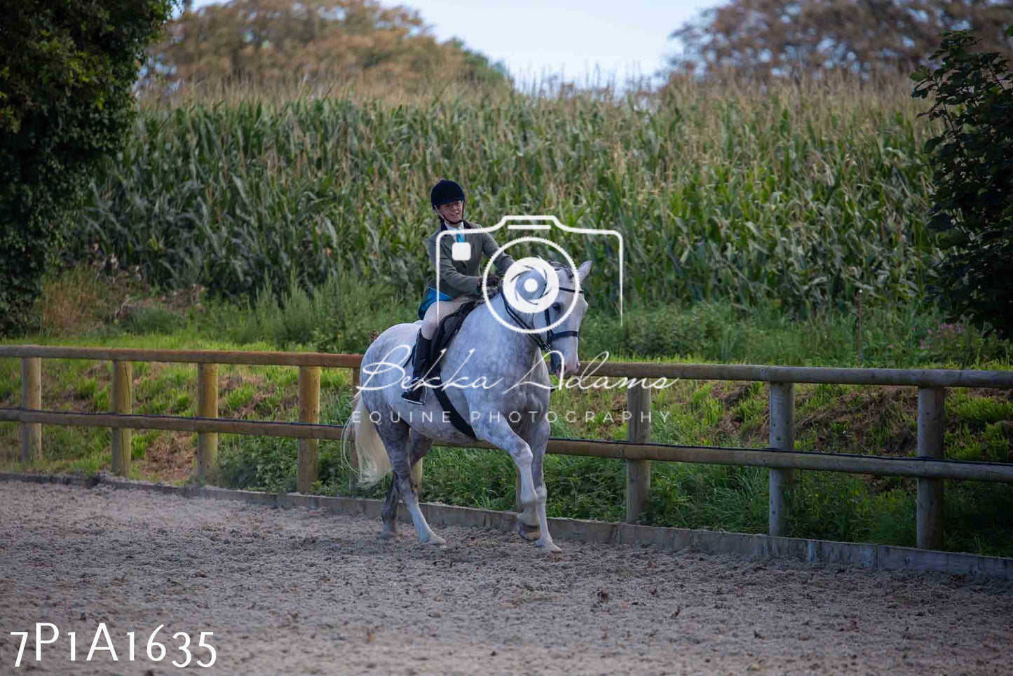 Home Farm Annual Show -Ridden Showing 20th August 2023