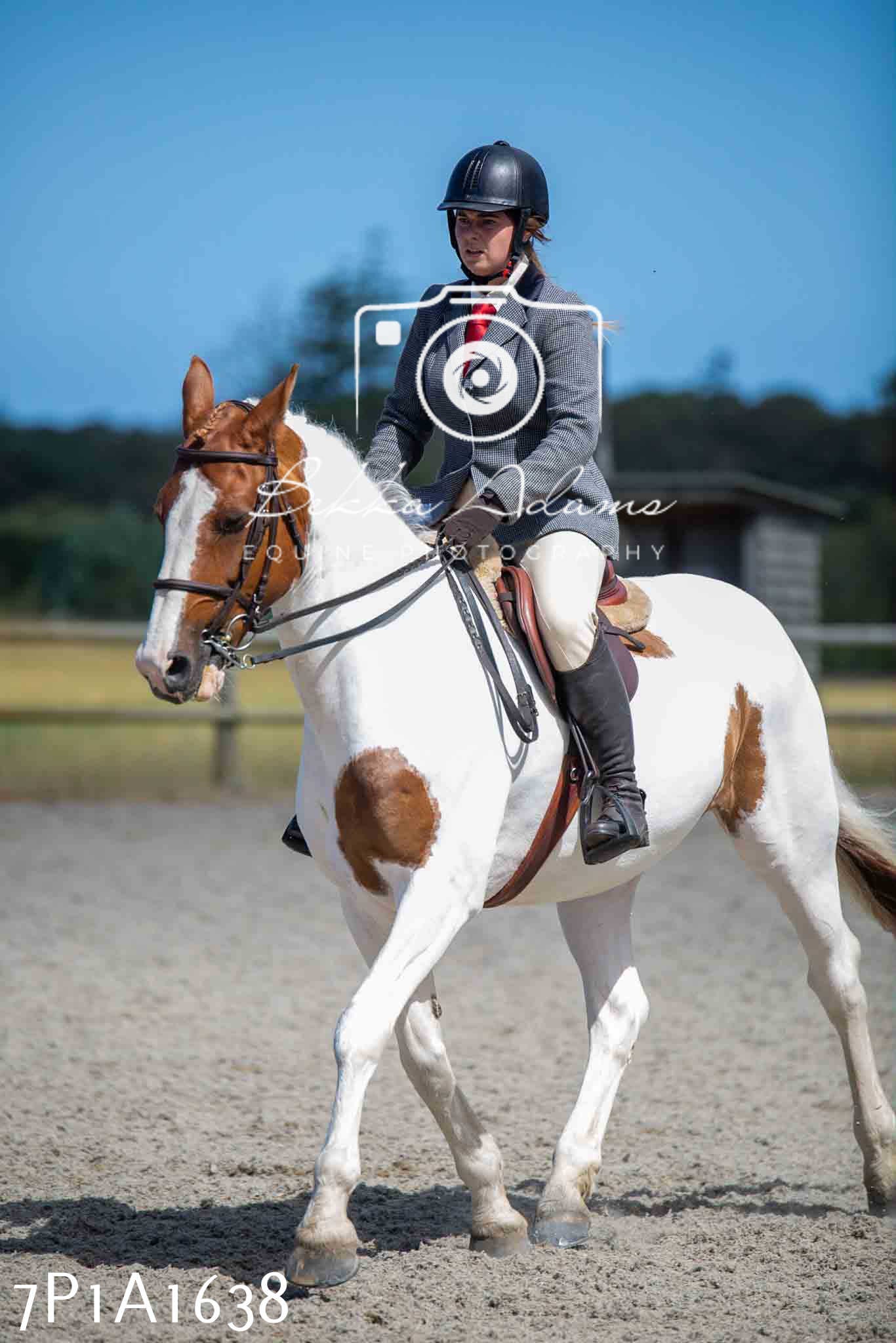 Home Farm Annual Show -Ridden Showing 20th August 2023