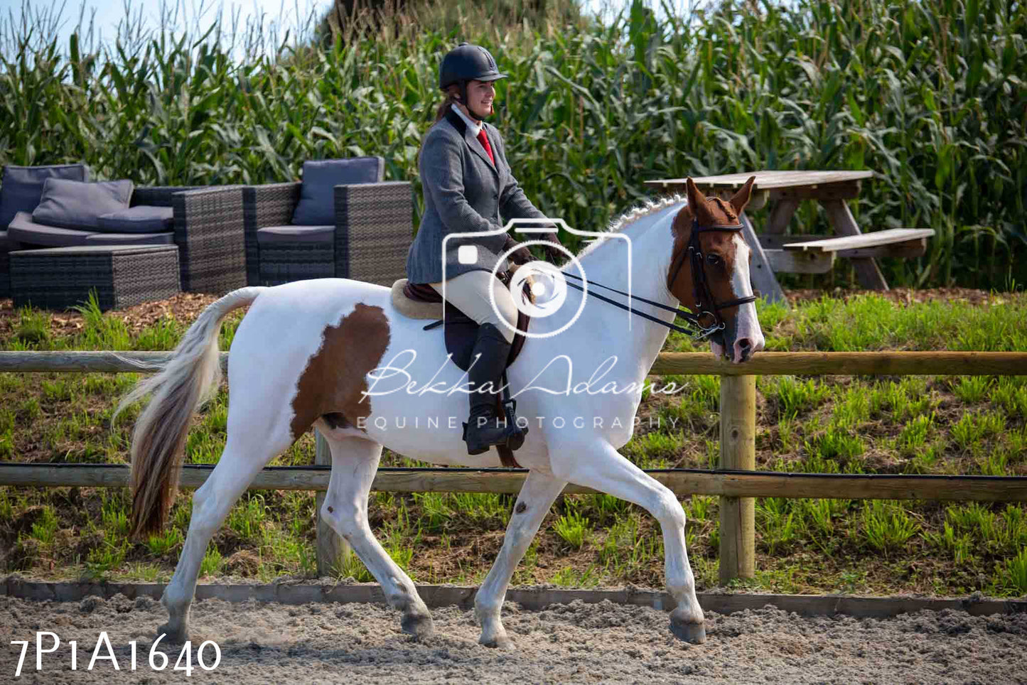 Home Farm Annual Show -Ridden Showing 20th August 2023