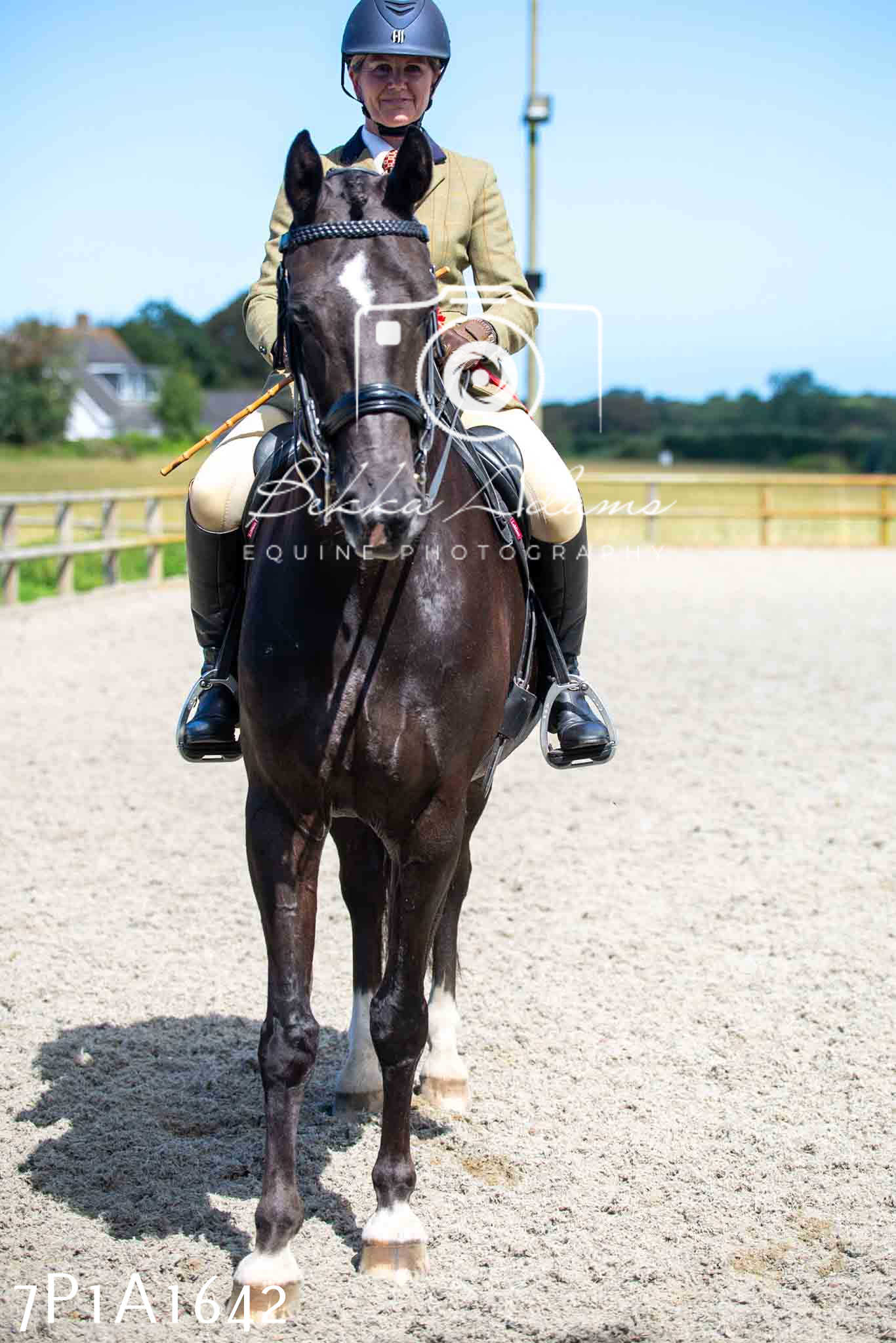 Home Farm Annual Show -Ridden Showing 20th August 2023