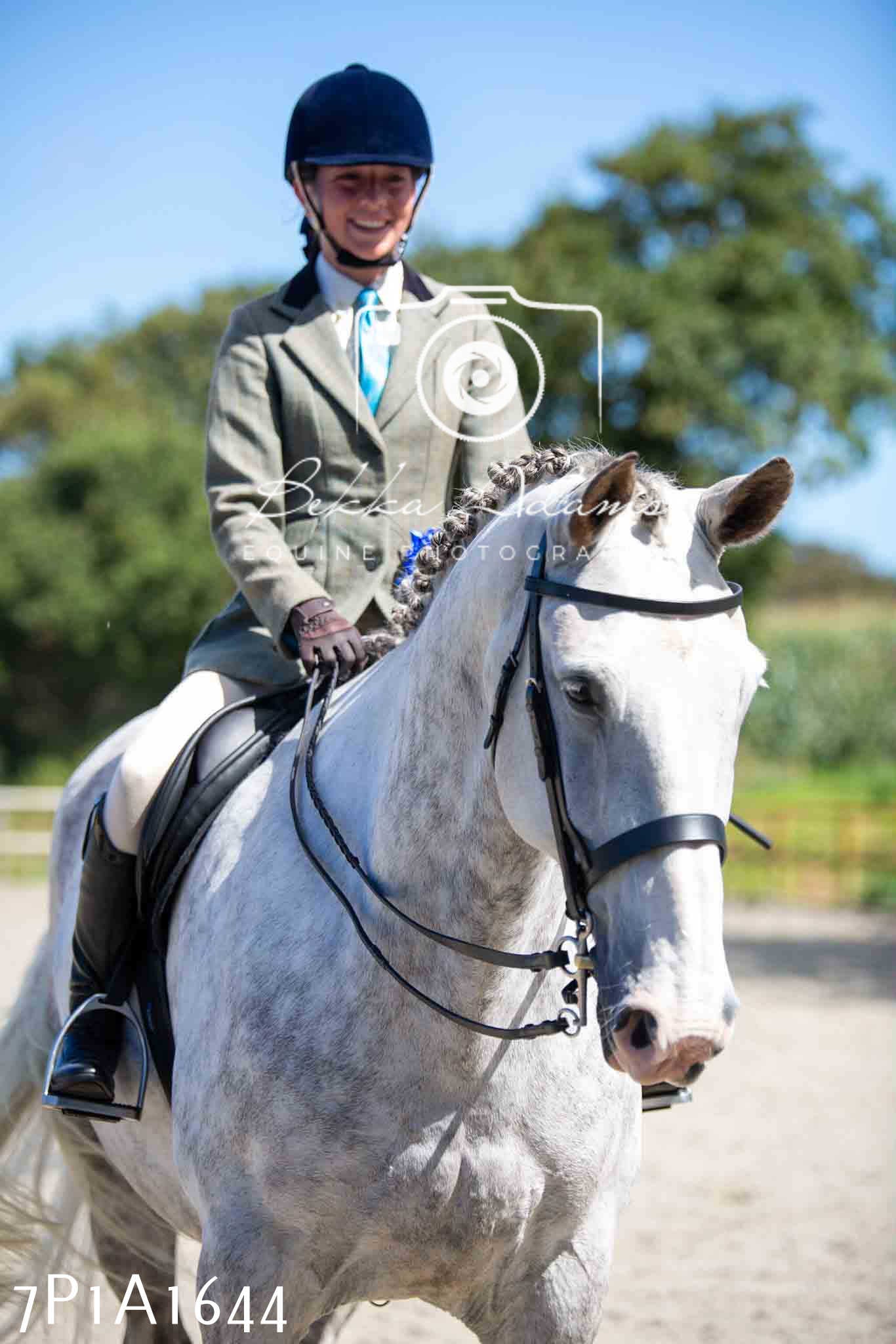 Home Farm Annual Show -Ridden Showing 20th August 2023