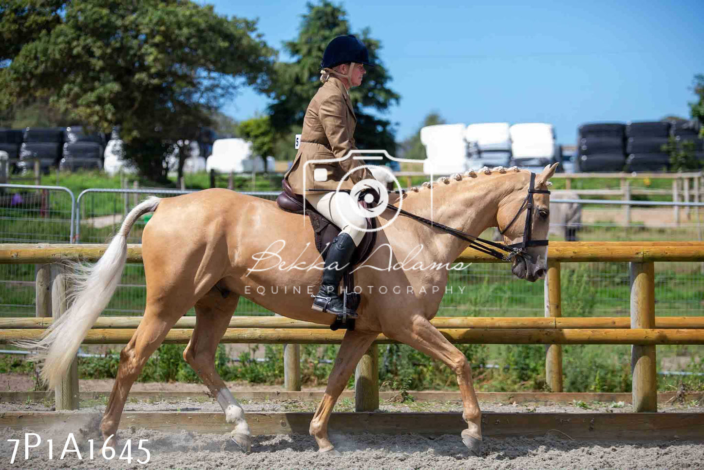 Home Farm Annual Show -Ridden Showing 20th August 2023