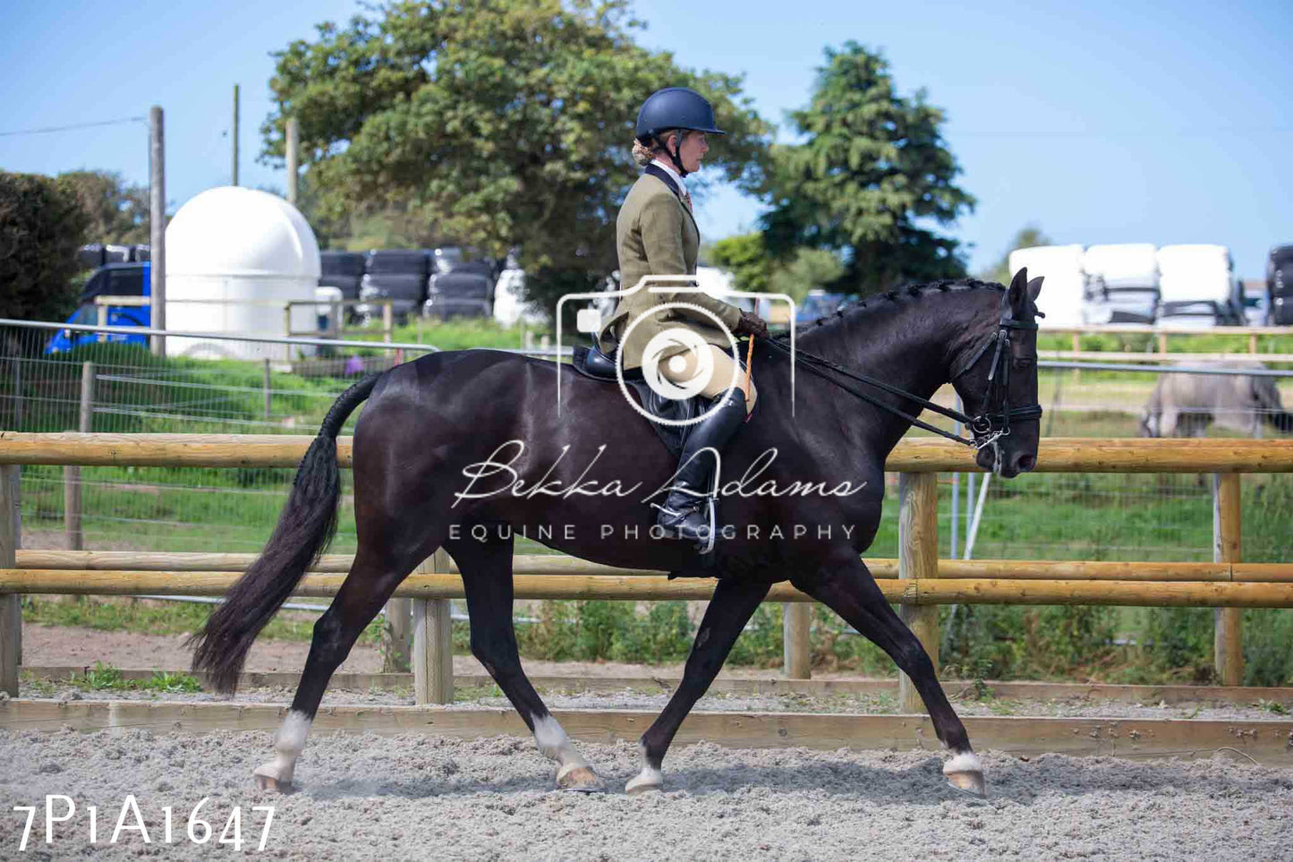 Home Farm Annual Show -Ridden Showing 20th August 2023