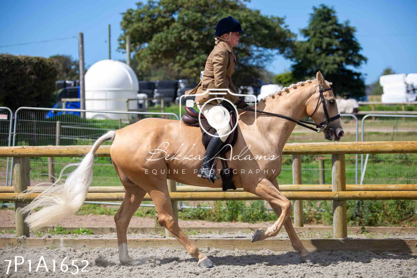 Home Farm Annual Show -Ridden Showing 20th August 2023