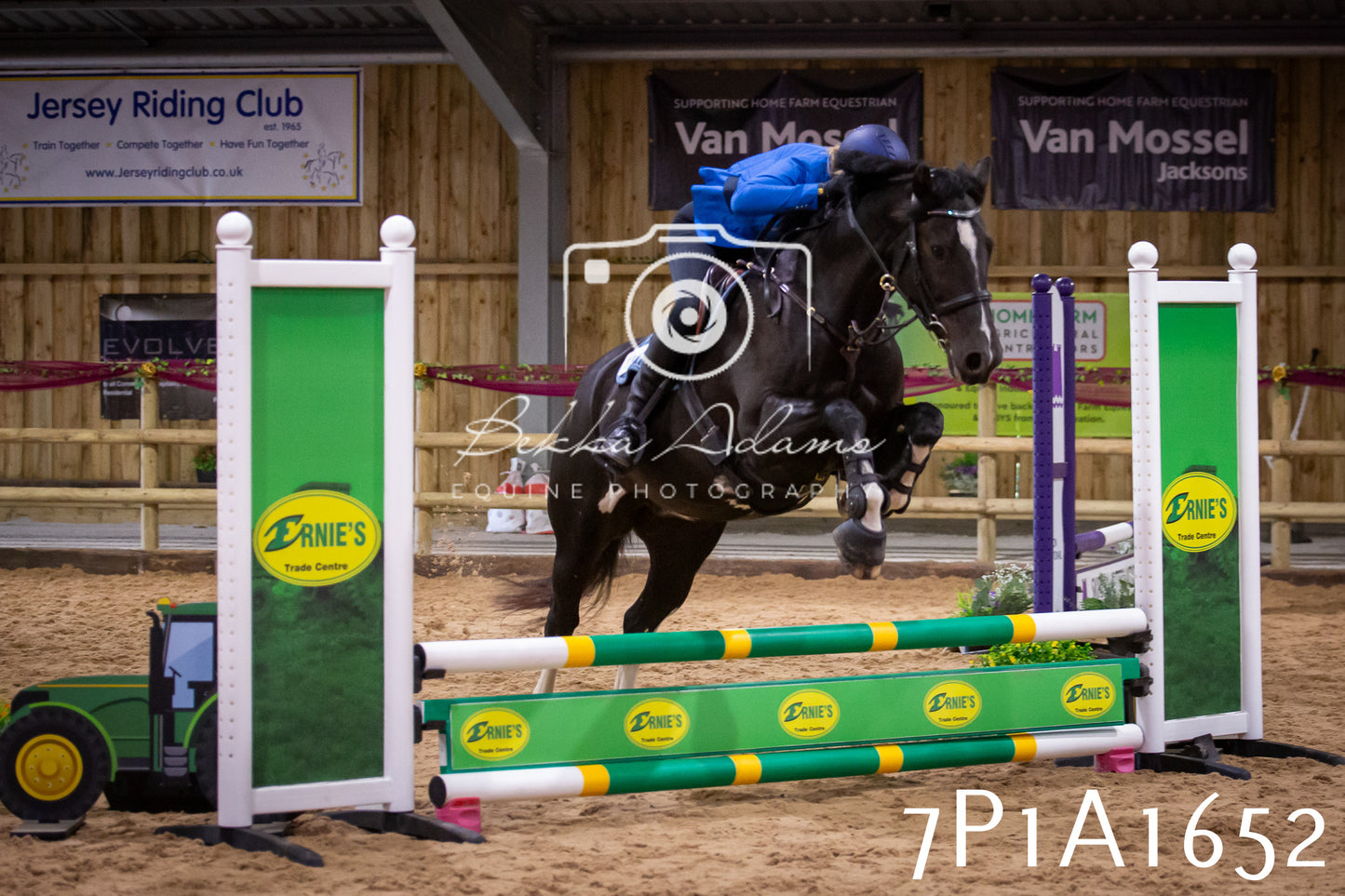 JHOYS 2025 - Show Jumping - 19th September pt1