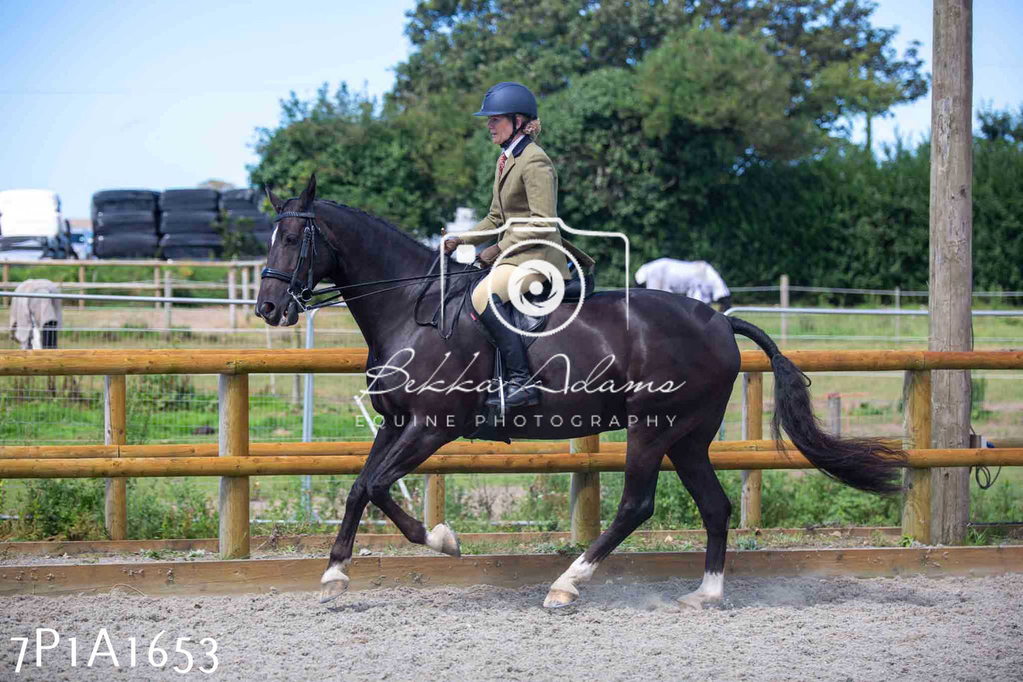 Home Farm Annual Show -Ridden Showing 20th August 2023