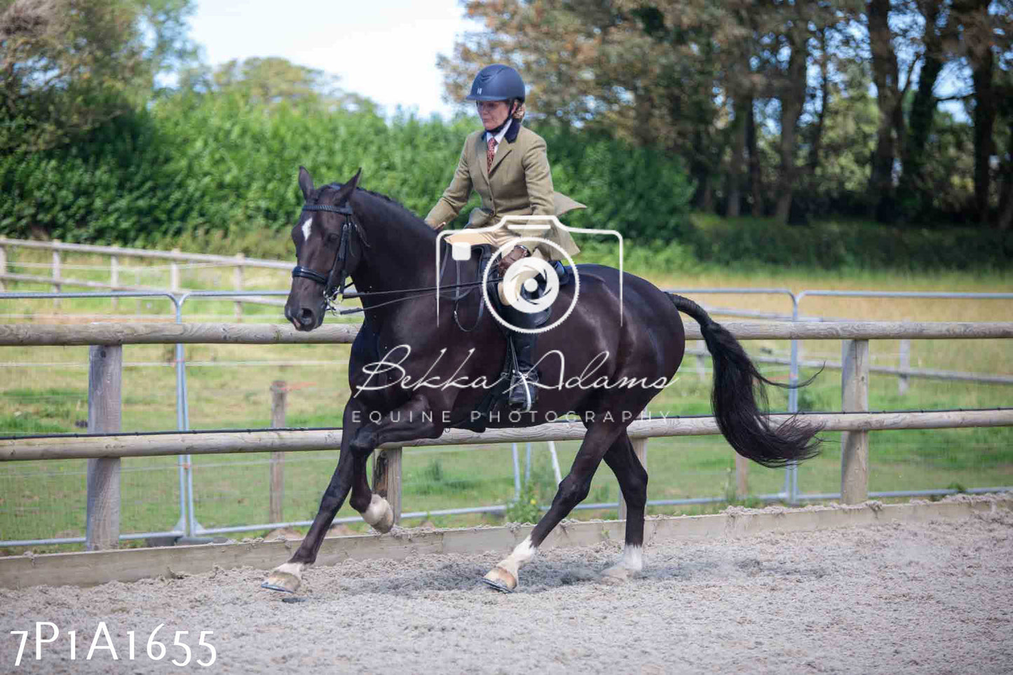 Home Farm Annual Show -Ridden Showing 20th August 2023