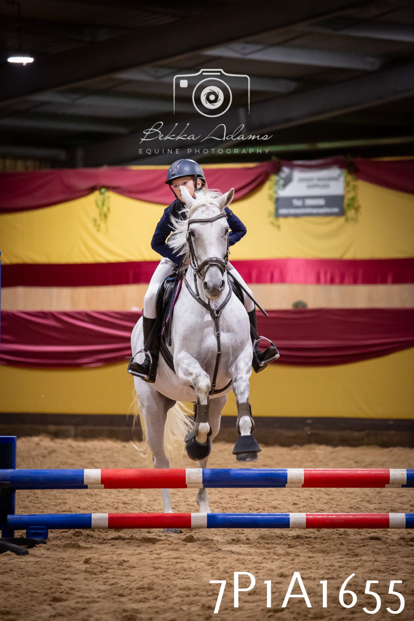 JHOYS 2025 - Show Jumping - 19th September pt1