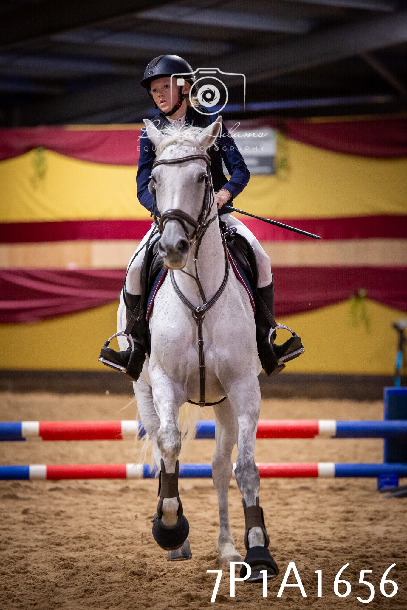 JHOYS 2025 - Show Jumping - 19th September pt1