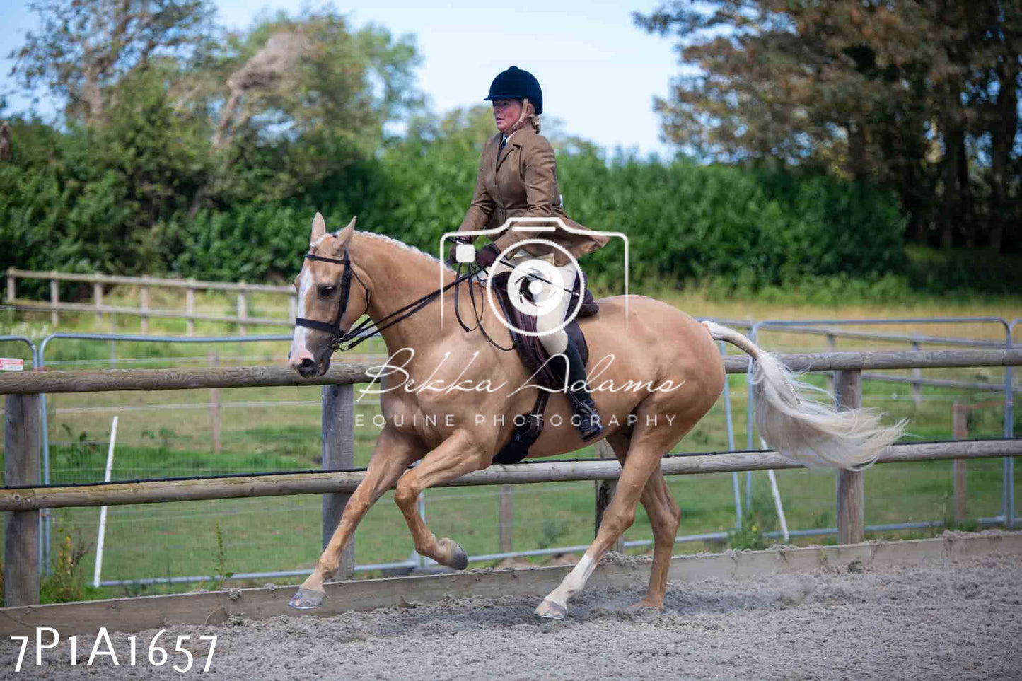 Home Farm Annual Show -Ridden Showing 20th August 2023