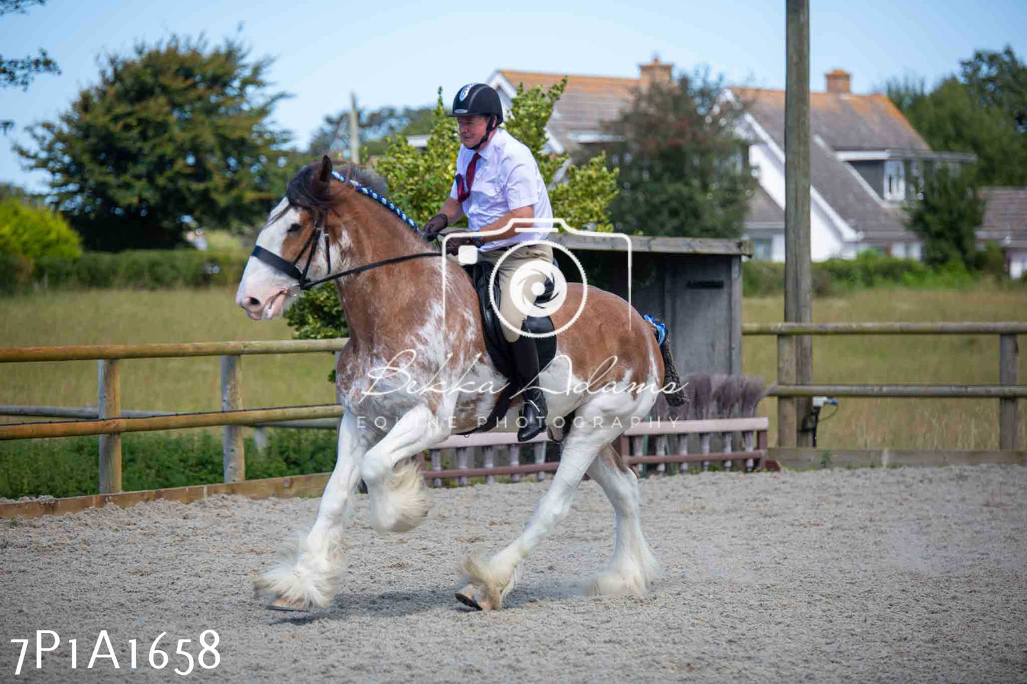 Home Farm Annual Show -Ridden Showing 20th August 2023