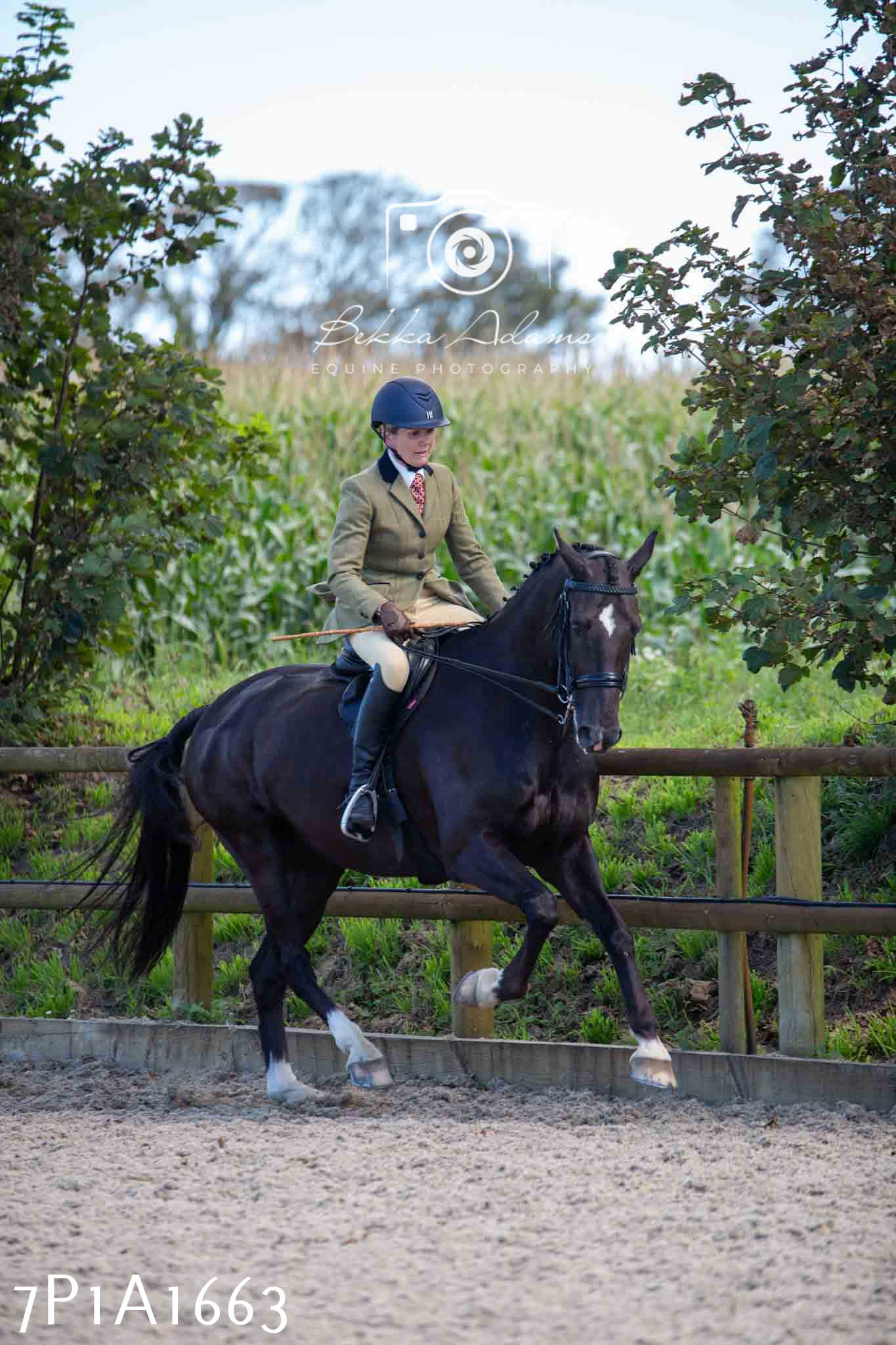 Home Farm Annual Show -Ridden Showing 20th August 2023