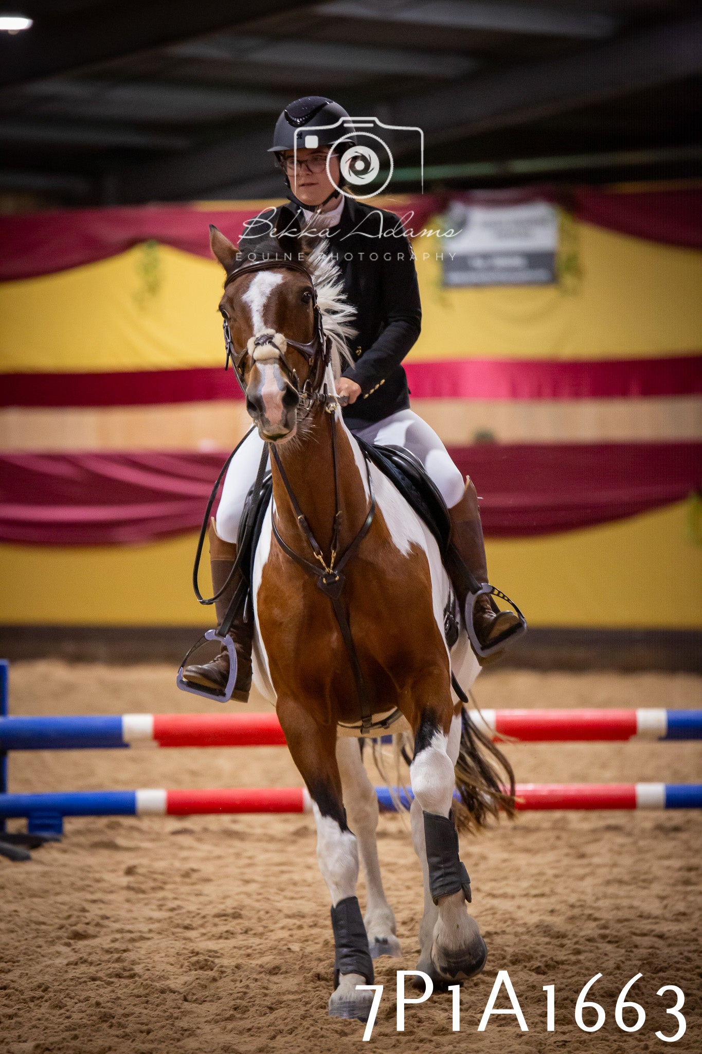 JHOYS 2025 - Show Jumping - 19th September pt1