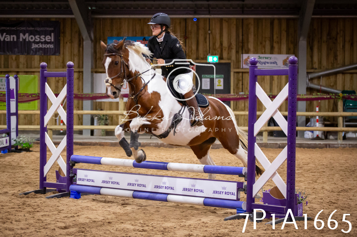JHOYS 2025 - Show Jumping - 19th September pt1