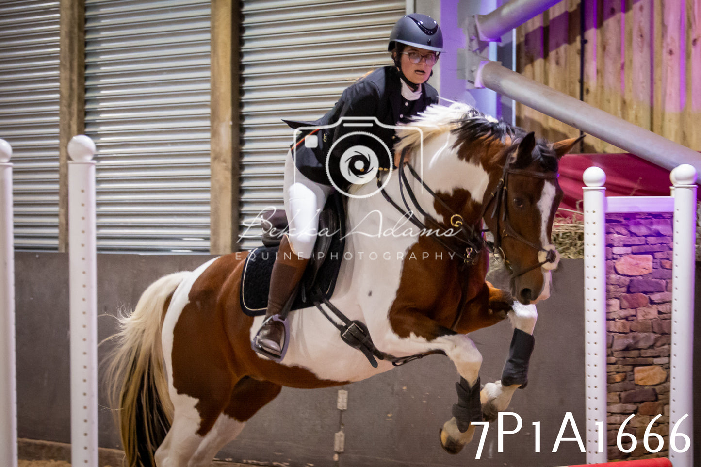 JHOYS 2025 - Show Jumping - 19th September pt1