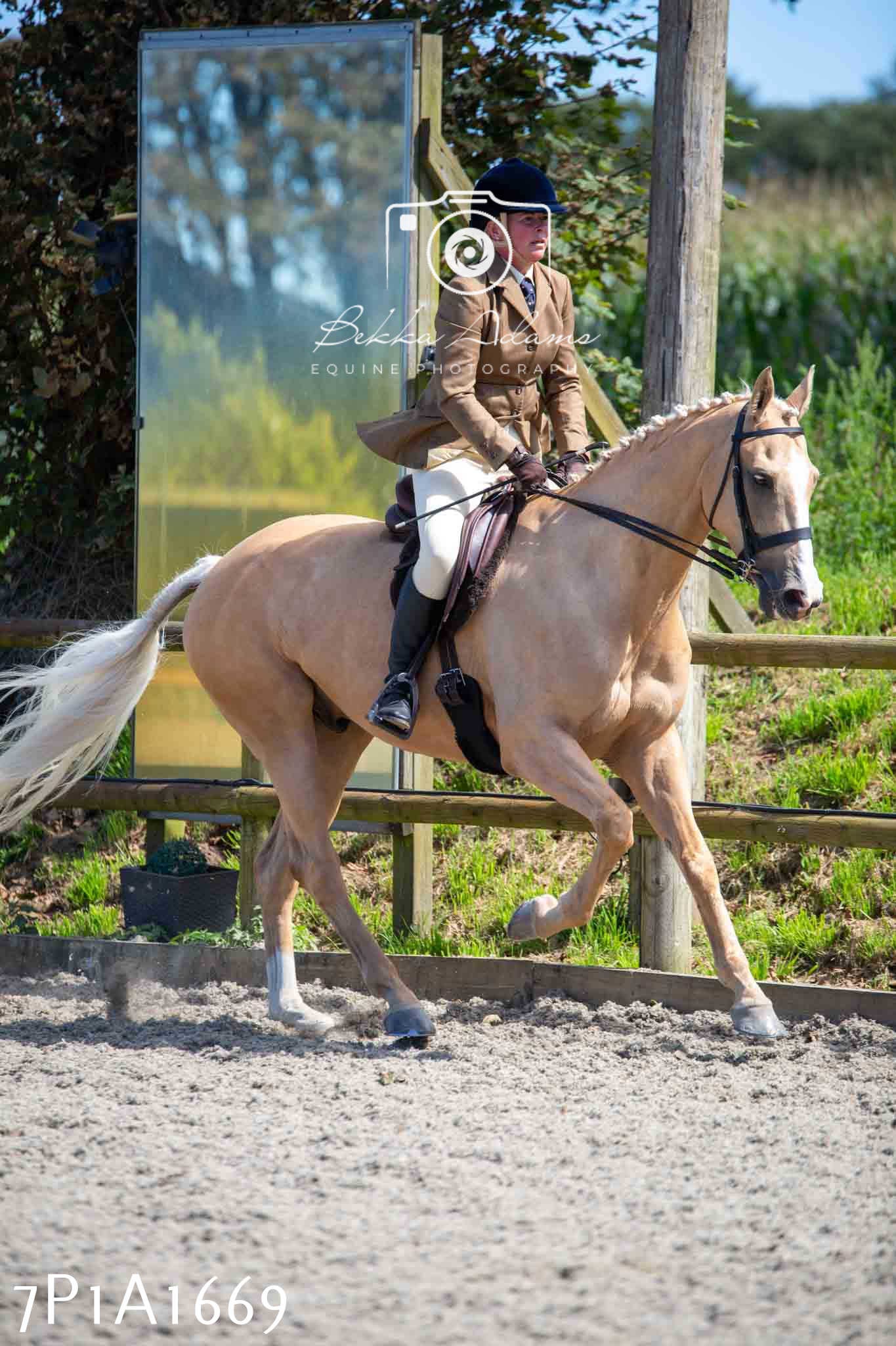 Home Farm Annual Show -Ridden Showing 20th August 2023