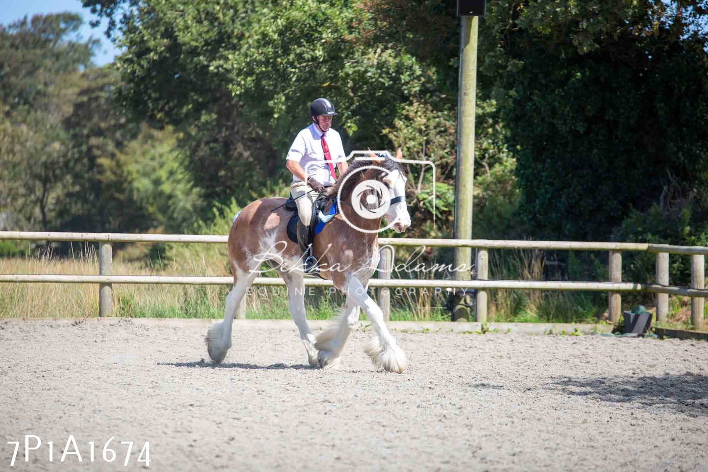 Home Farm Annual Show -Ridden Showing 20th August 2023