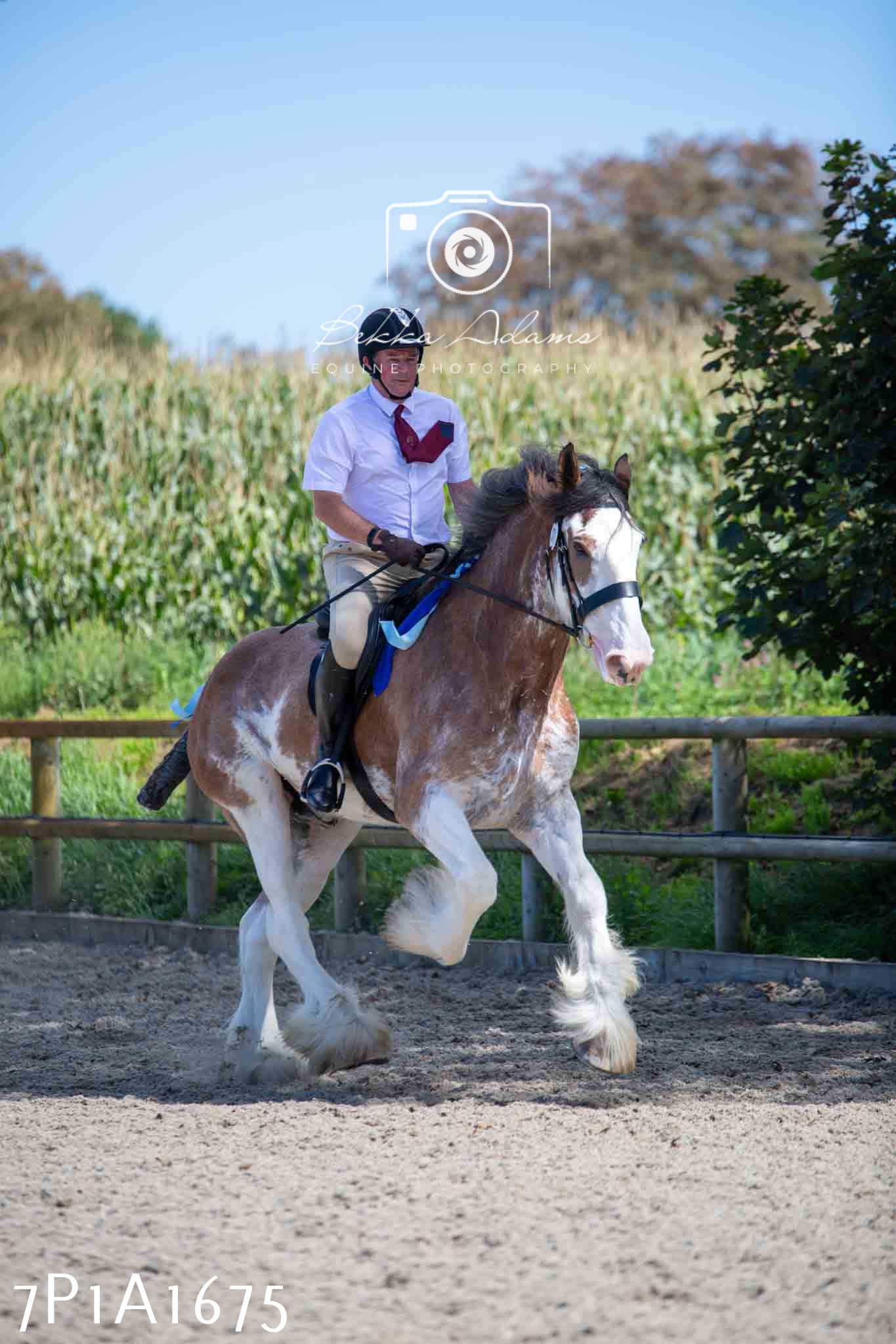 Home Farm Annual Show -Ridden Showing 20th August 2023
