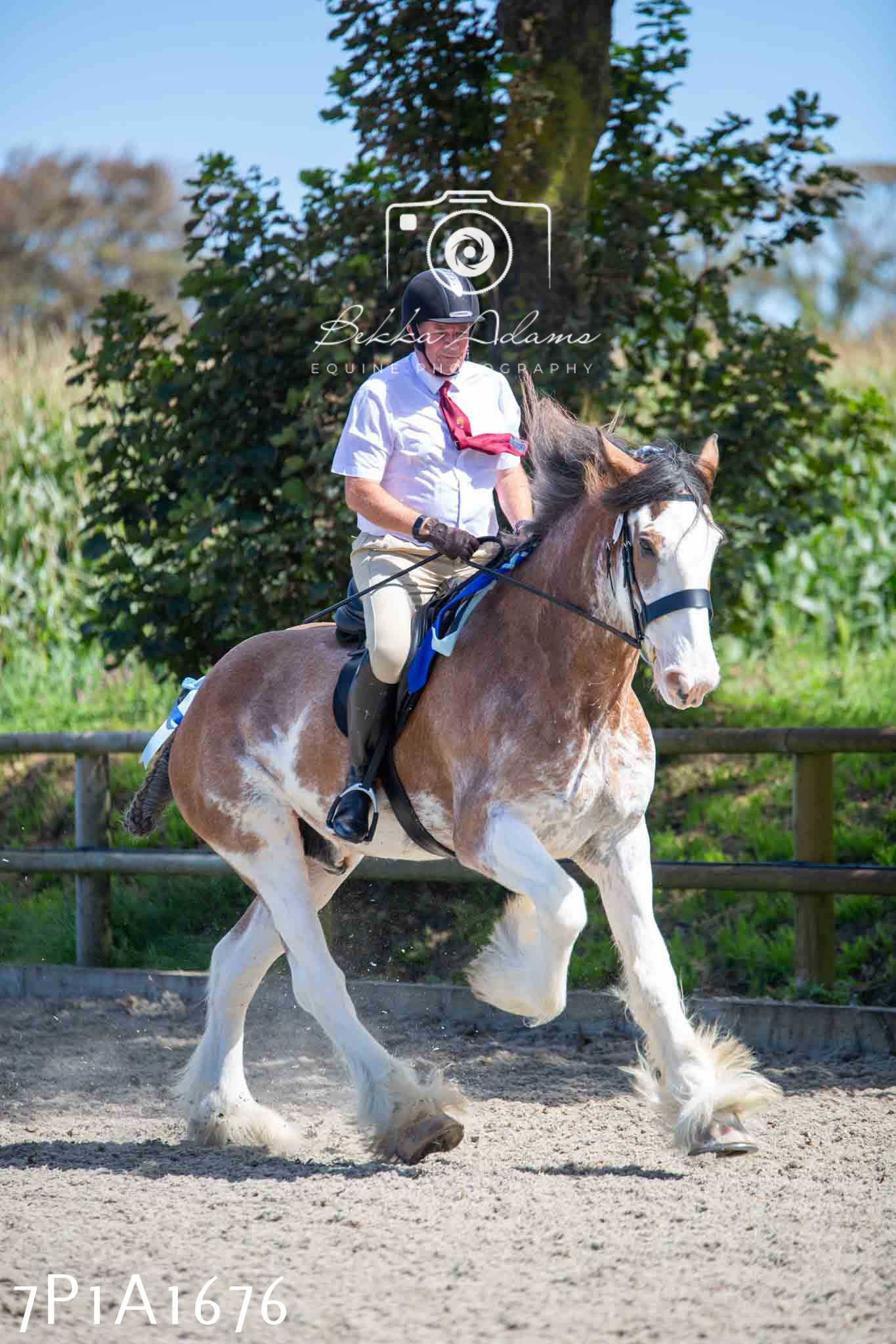 Home Farm Annual Show -Ridden Showing 20th August 2023
