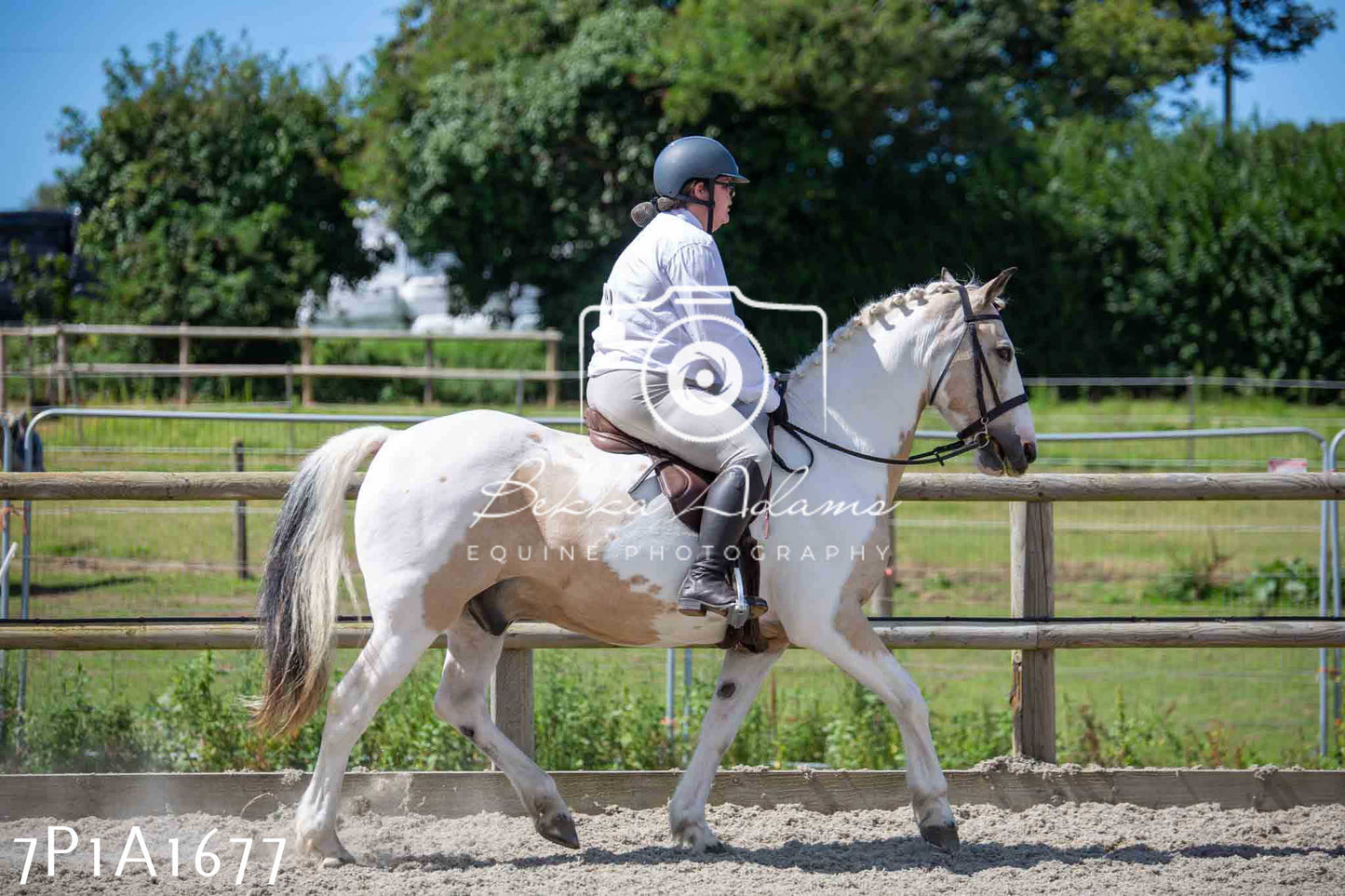 Home Farm Annual Show -Ridden Showing 20th August 2023