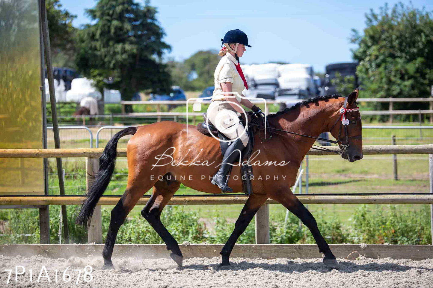 Home Farm Annual Show -Ridden Showing 20th August 2023