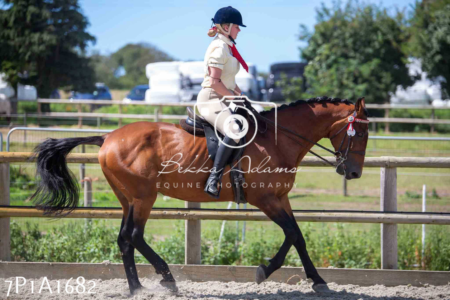 Home Farm Annual Show -Ridden Showing 20th August 2023