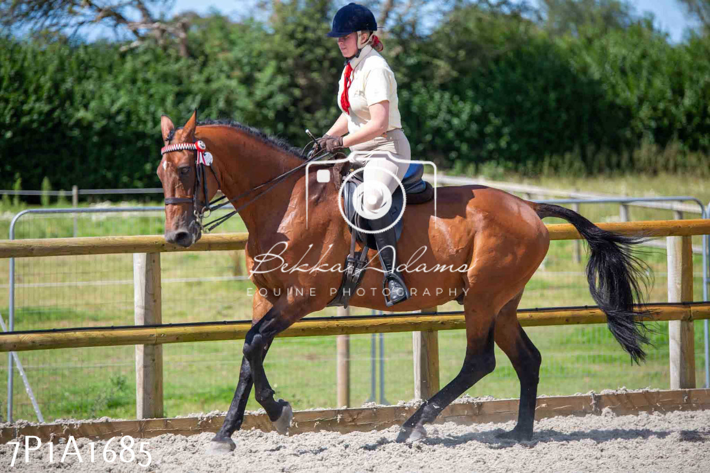 Home Farm Annual Show -Ridden Showing 20th August 2023