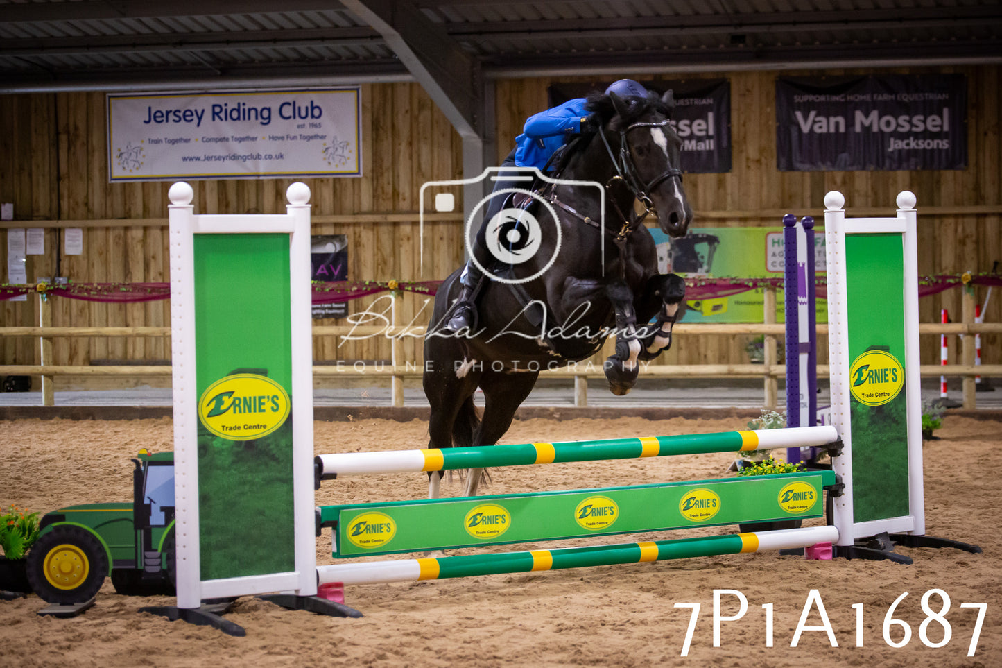 JHOYS 2025 - Show Jumping - 19th September pt1