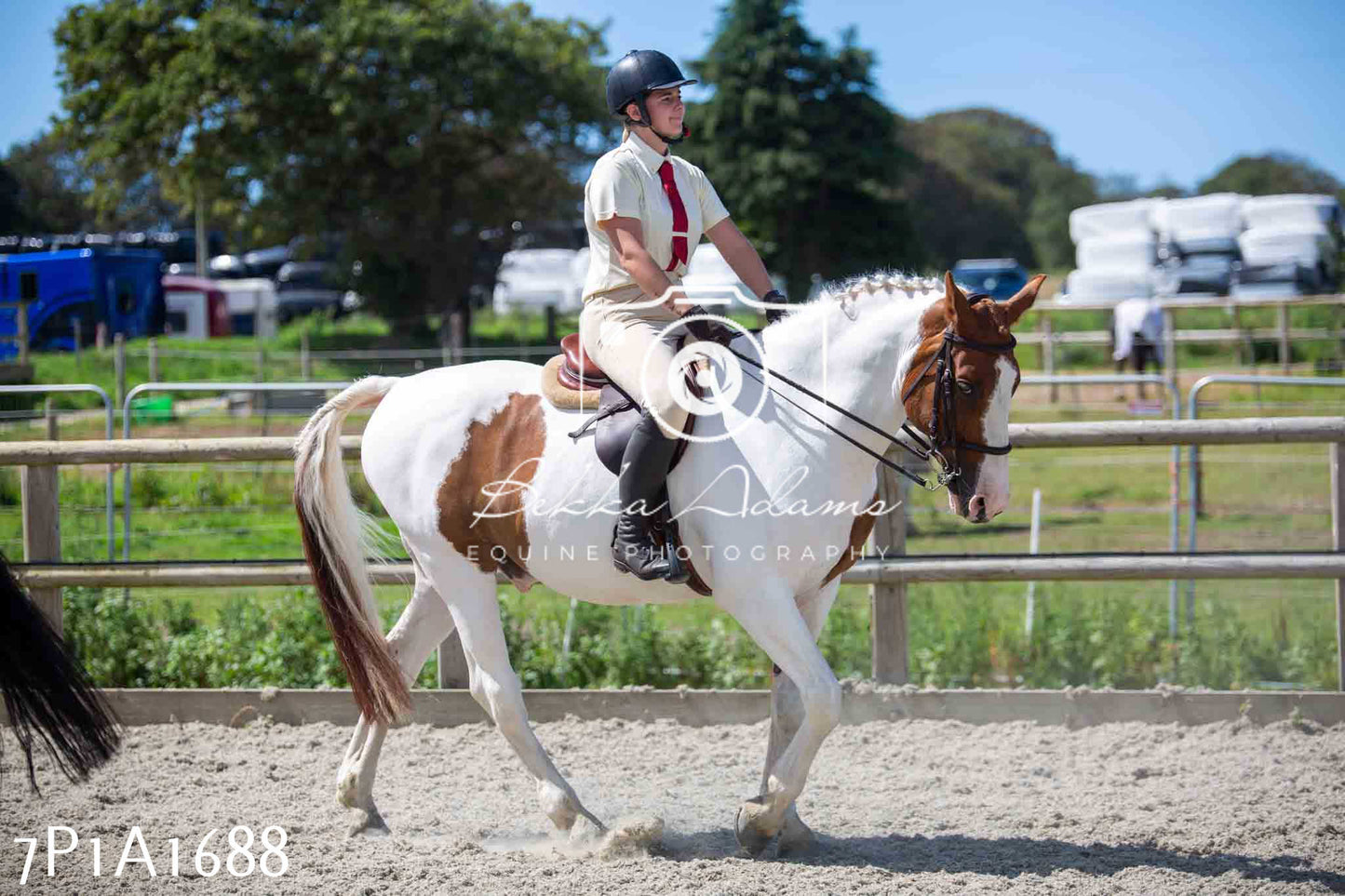 Home Farm Annual Show -Ridden Showing 20th August 2023