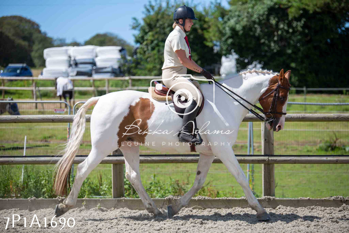 Home Farm Annual Show -Ridden Showing 20th August 2023