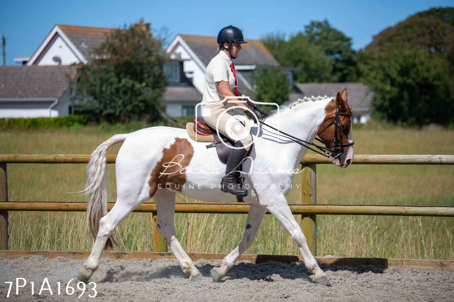 Home Farm Annual Show -Ridden Showing 20th August 2023