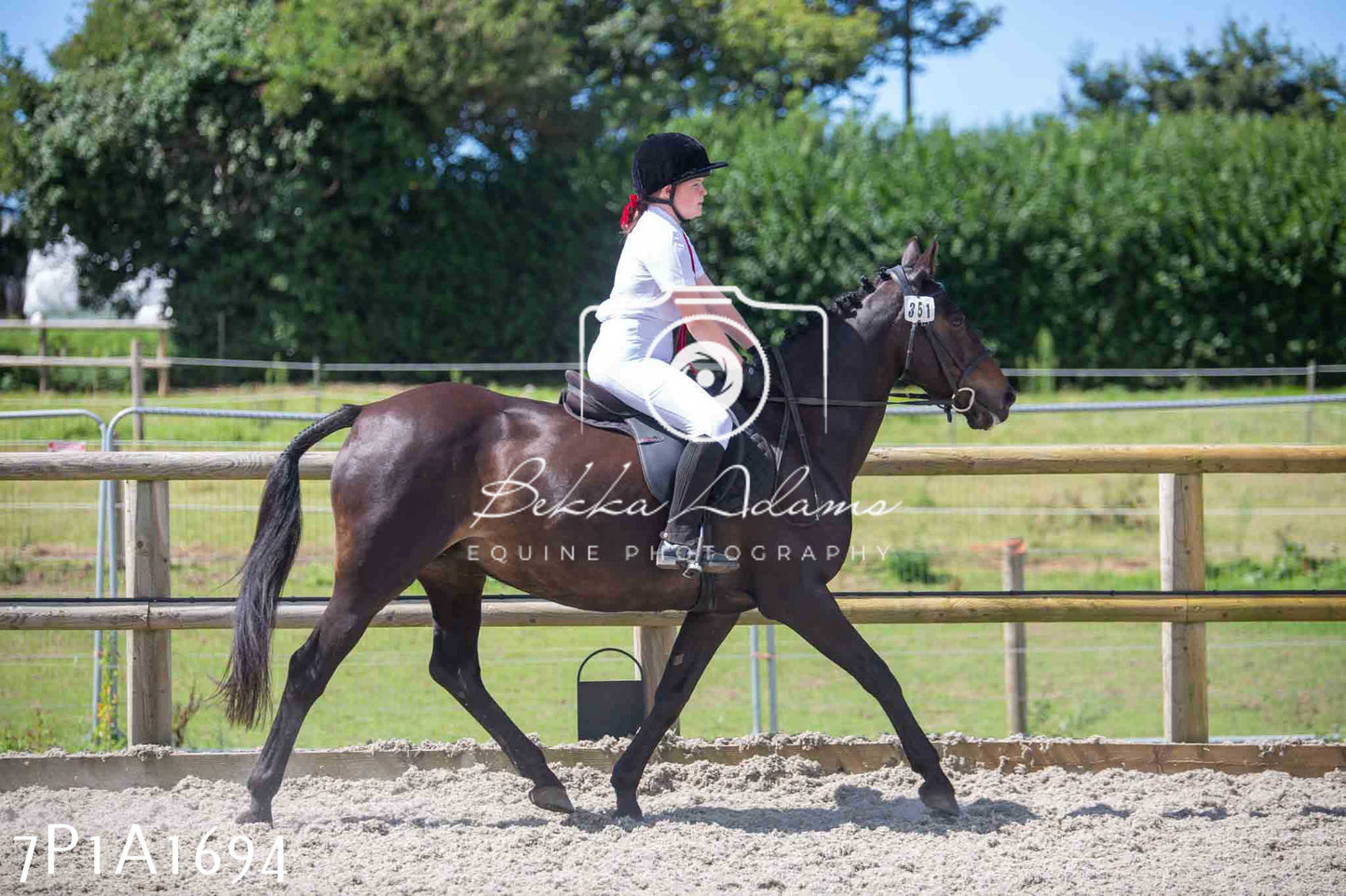 Home Farm Annual Show -Ridden Showing 20th August 2023