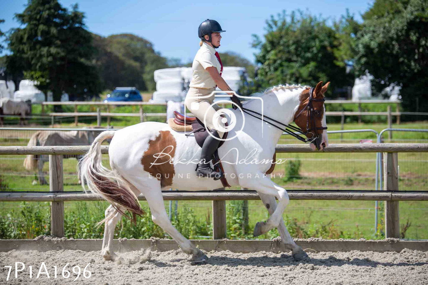 Home Farm Annual Show -Ridden Showing 20th August 2023