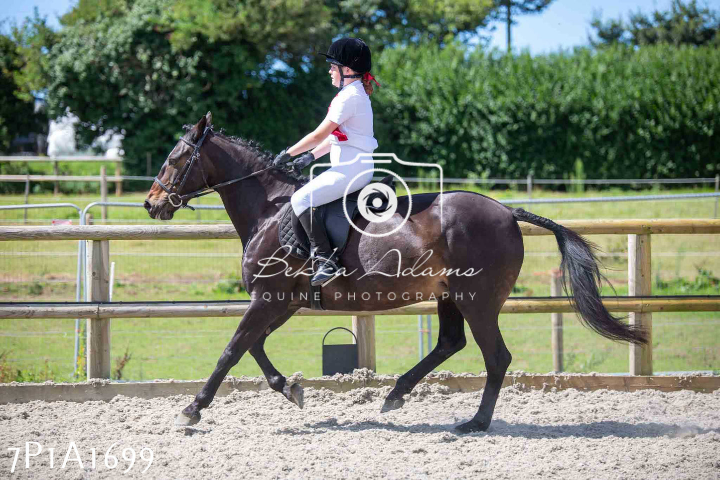 Home Farm Annual Show -Ridden Showing 20th August 2023