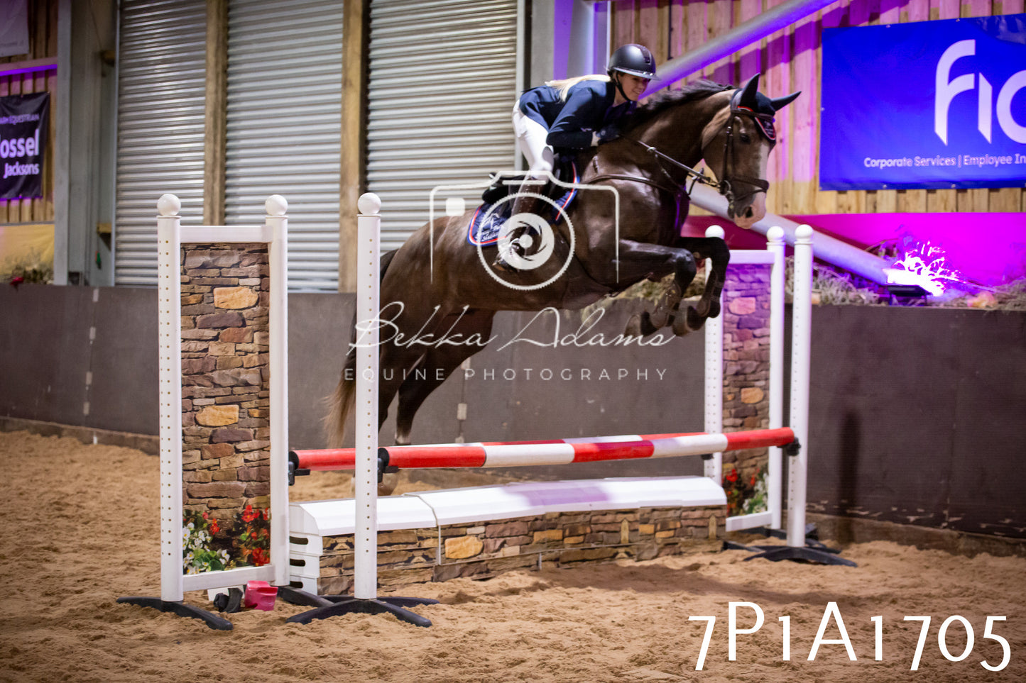 JHOYS 2025 - Show Jumping - 19th September pt1