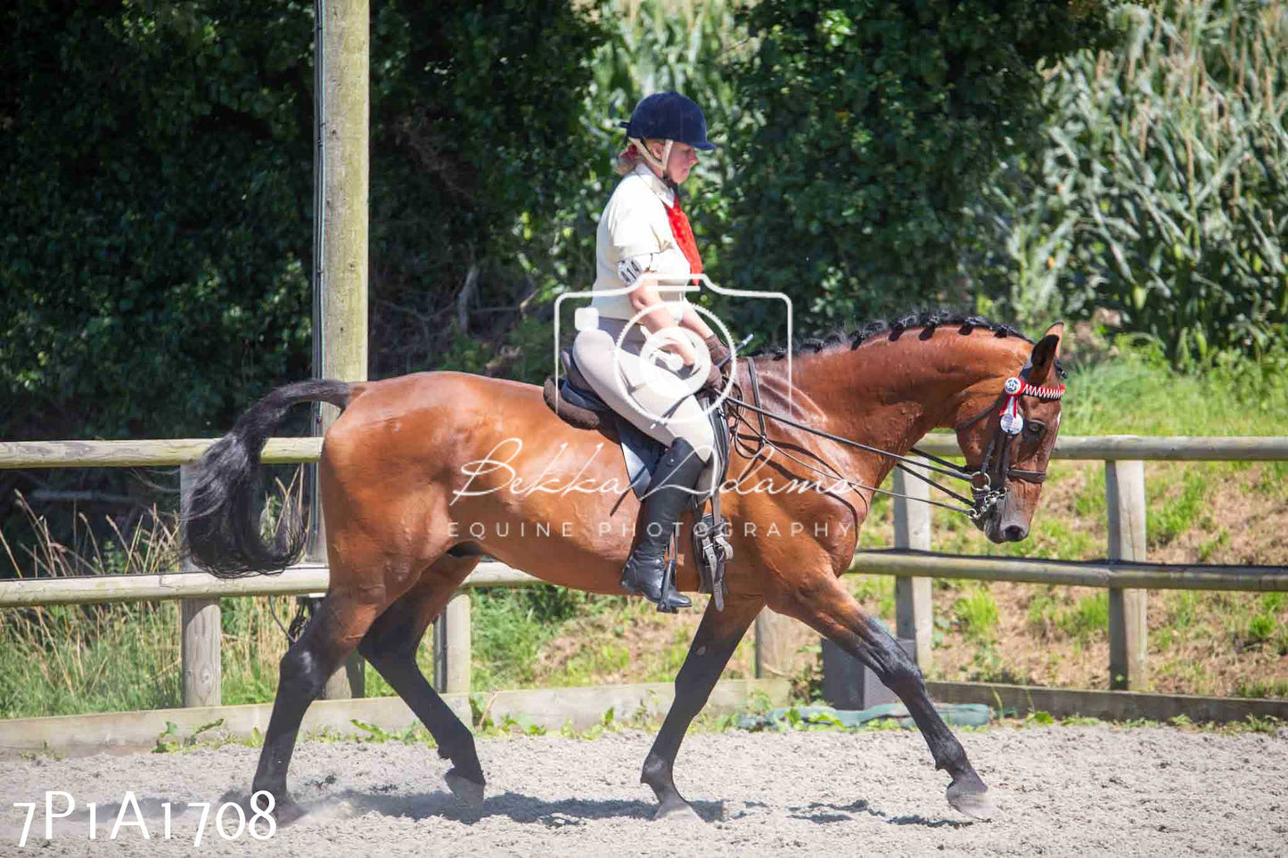 Home Farm Annual Show -Ridden Showing 20th August 2023