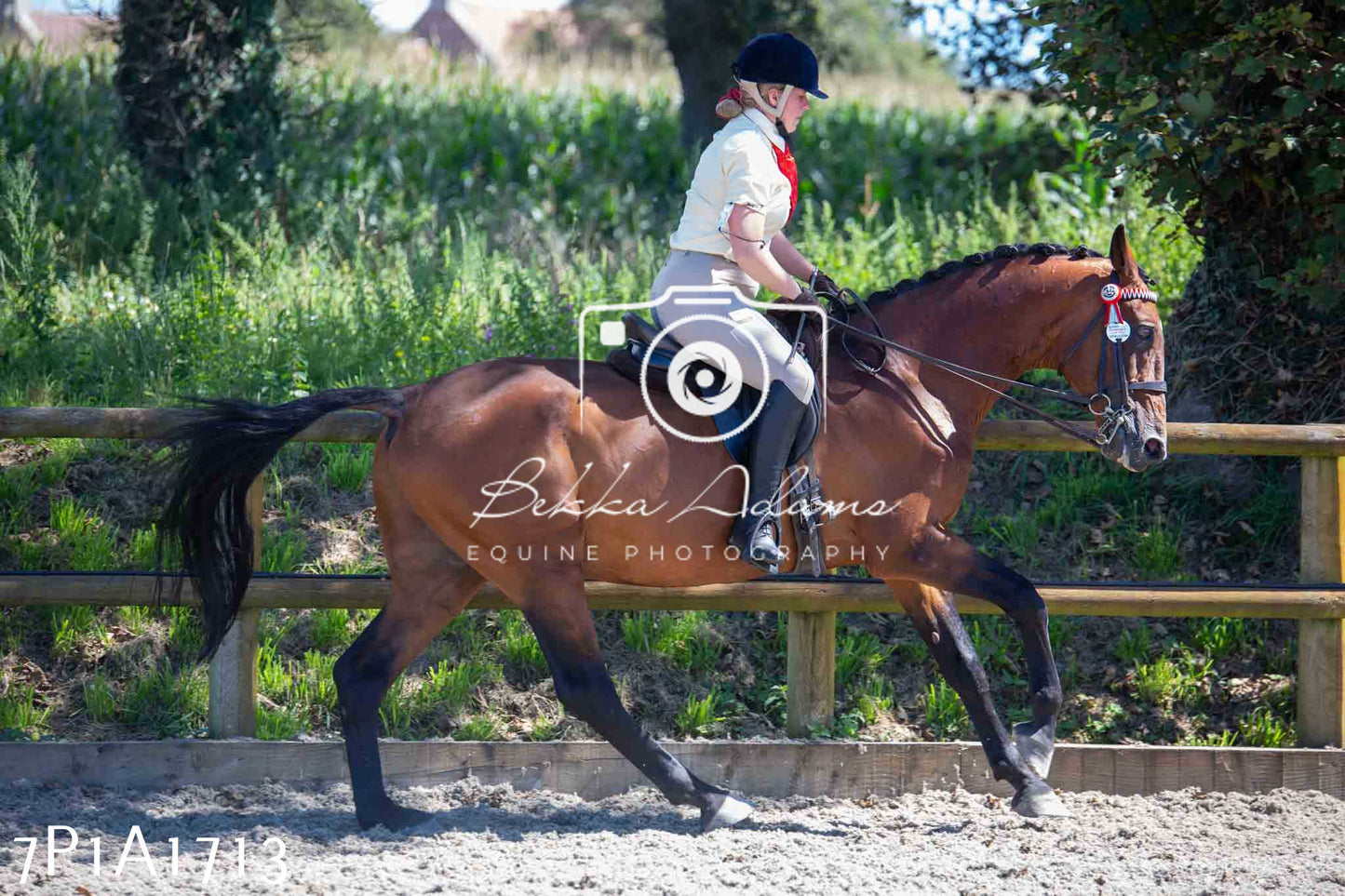 Home Farm Annual Show -Ridden Showing 20th August 2023