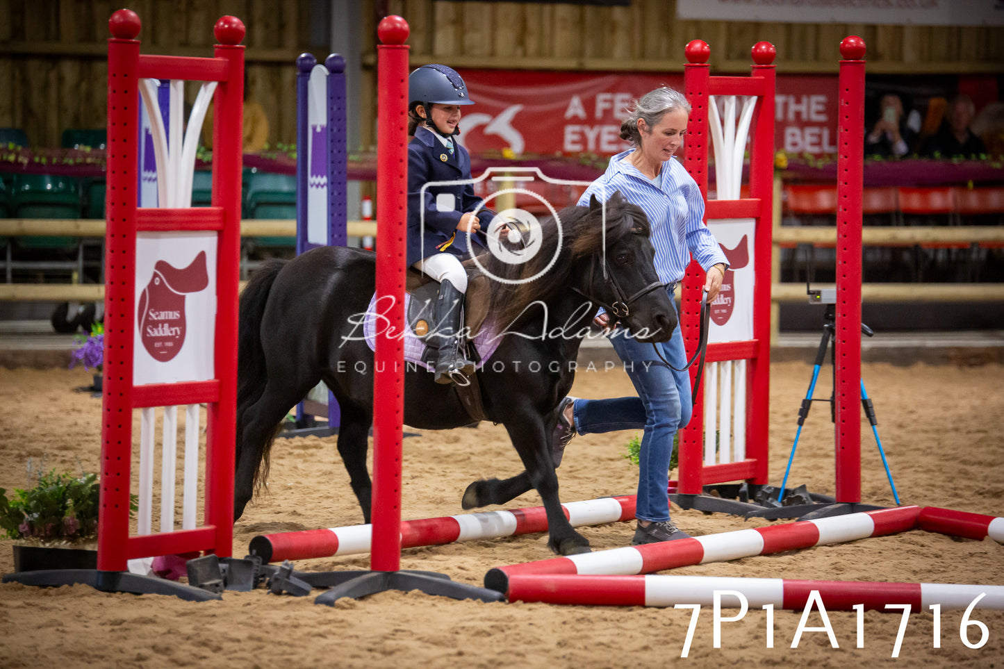 JHOYS 2025 - Show Jumping - 19th September pt1