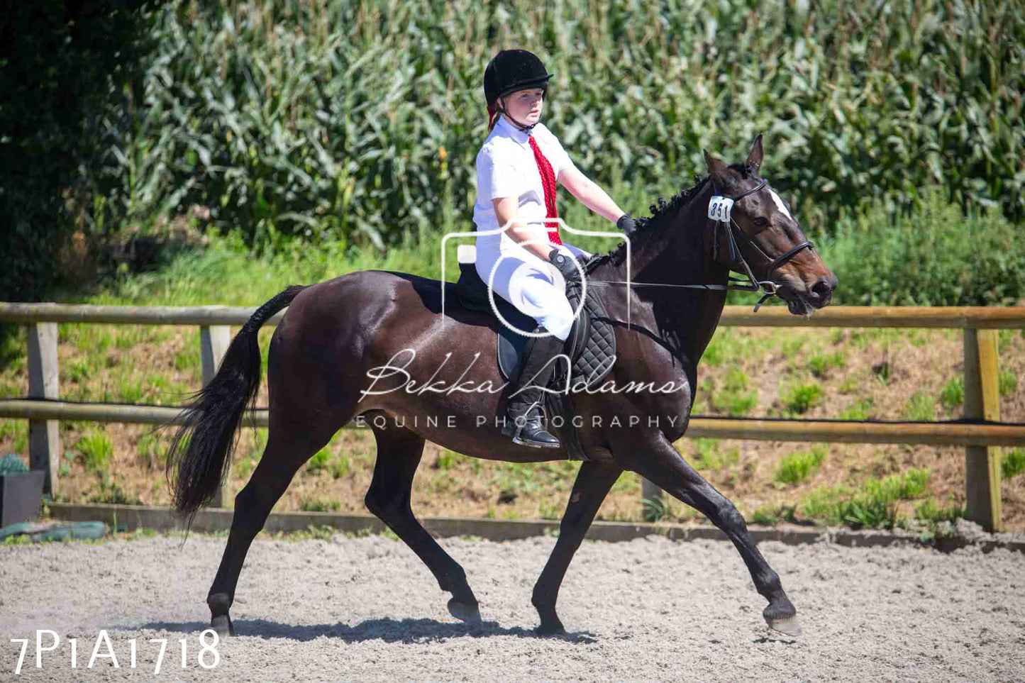 Home Farm Annual Show -Ridden Showing 20th August 2023