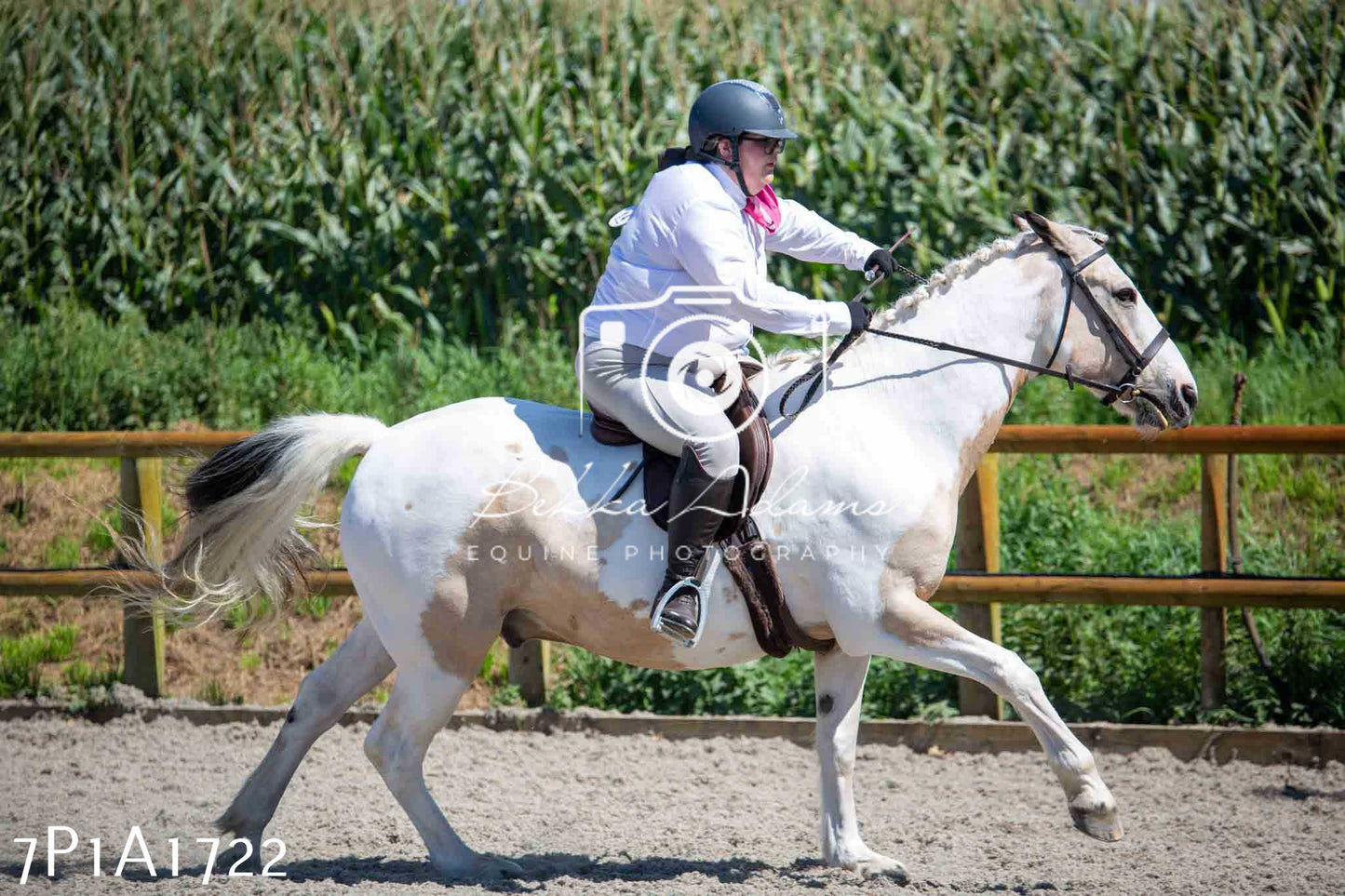 Home Farm Annual Show -Ridden Showing 20th August 2023