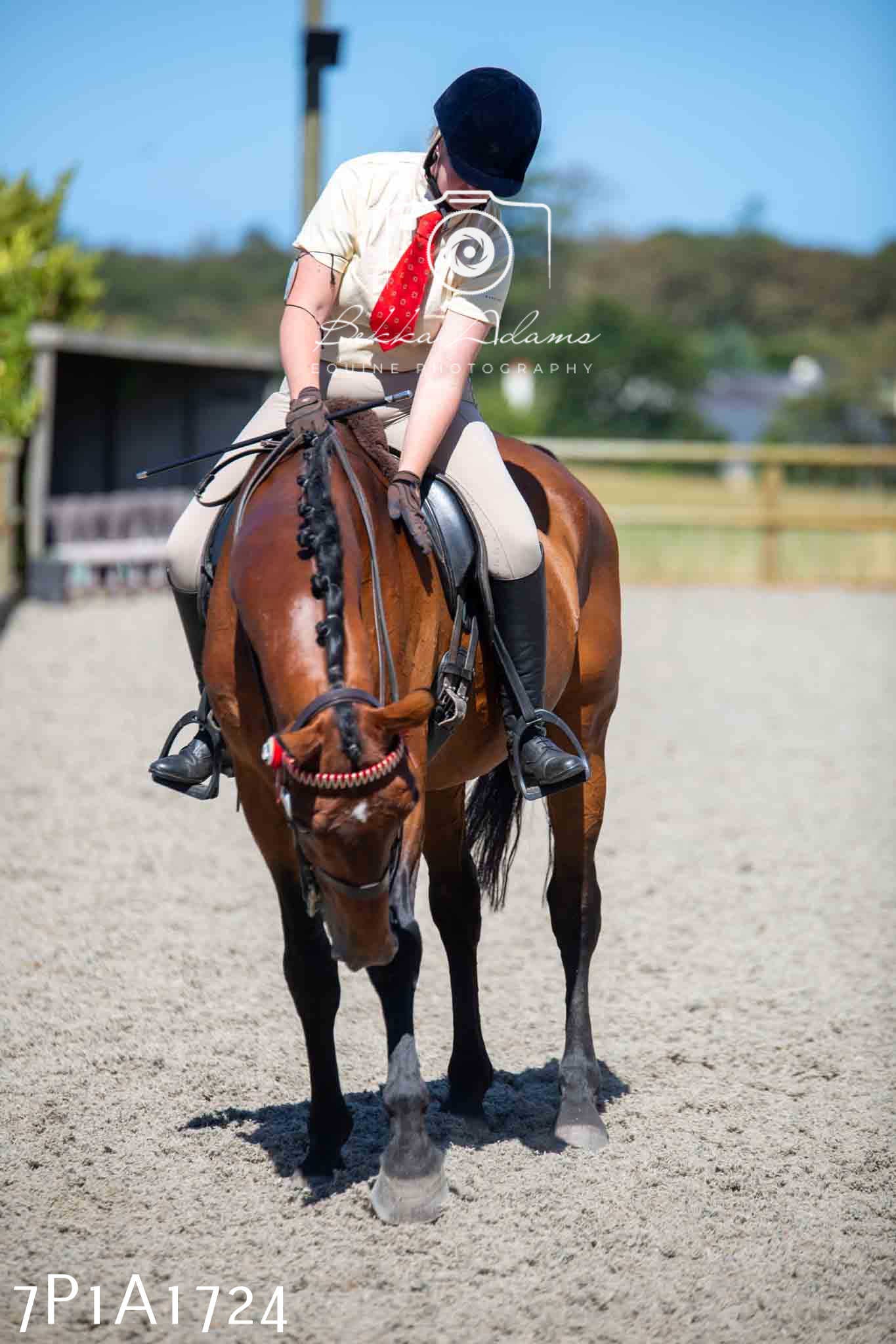 Home Farm Annual Show -Ridden Showing 20th August 2023