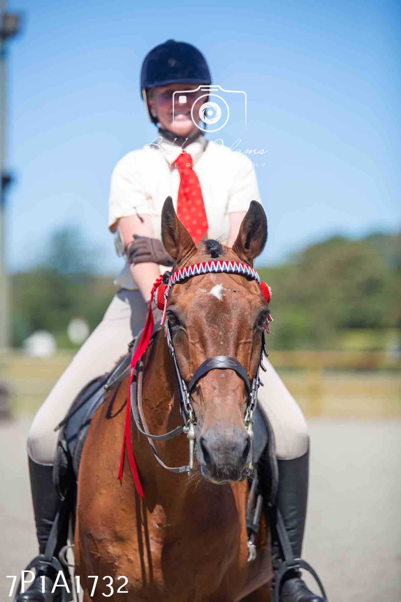 Home Farm Annual Show -Ridden Showing 20th August 2023