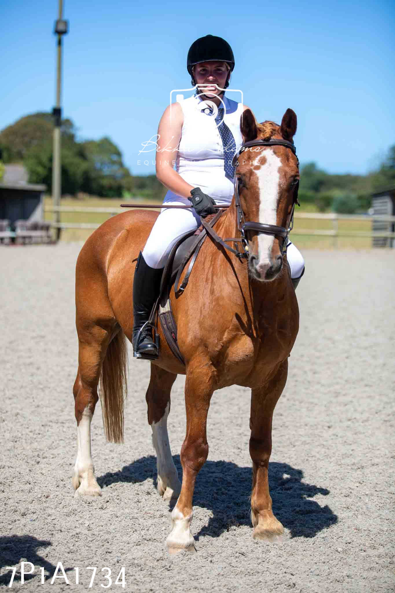 Home Farm Annual Show -Ridden Showing 20th August 2023