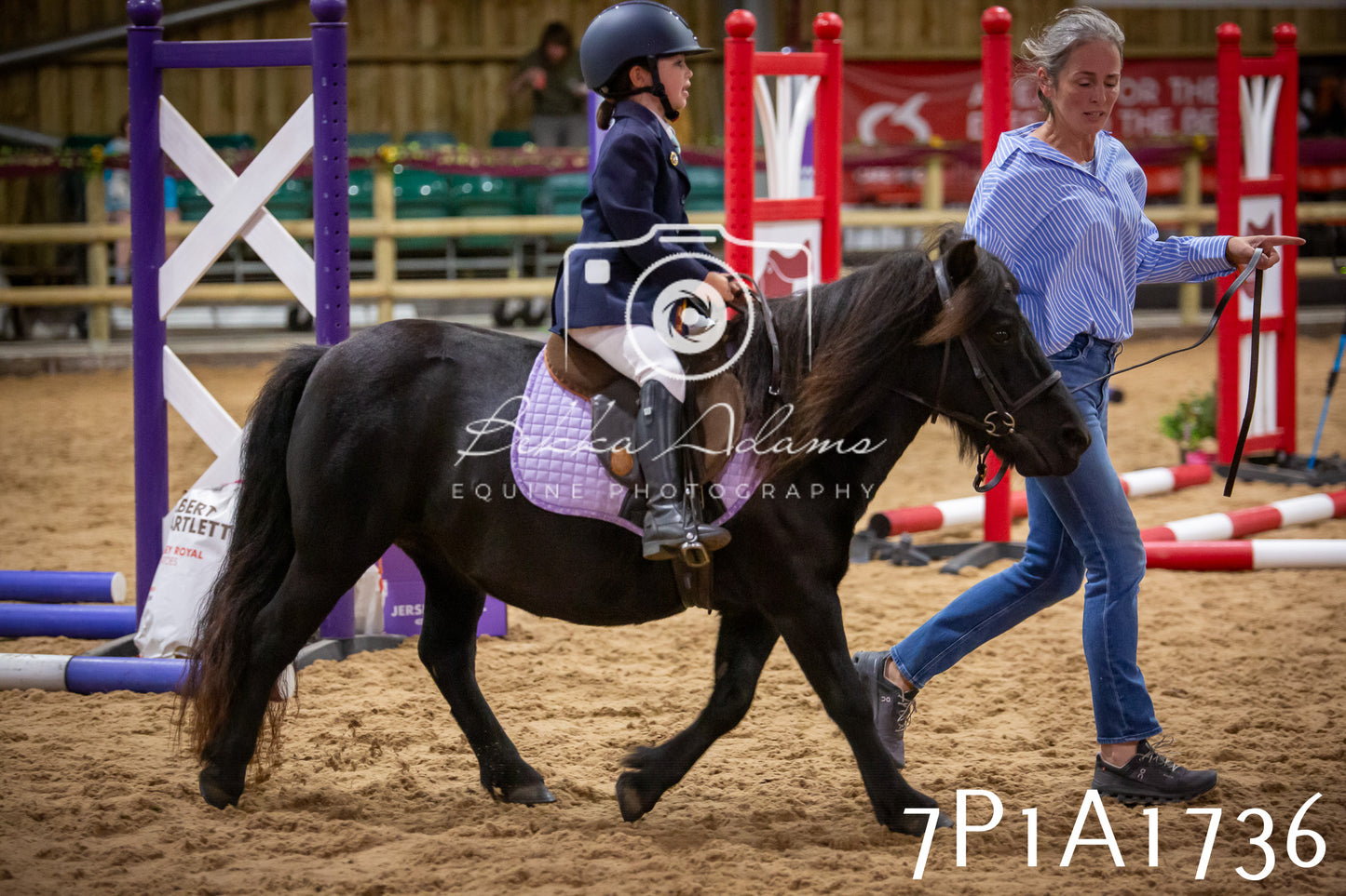 JHOYS 2025 - Show Jumping - 19th September pt1
