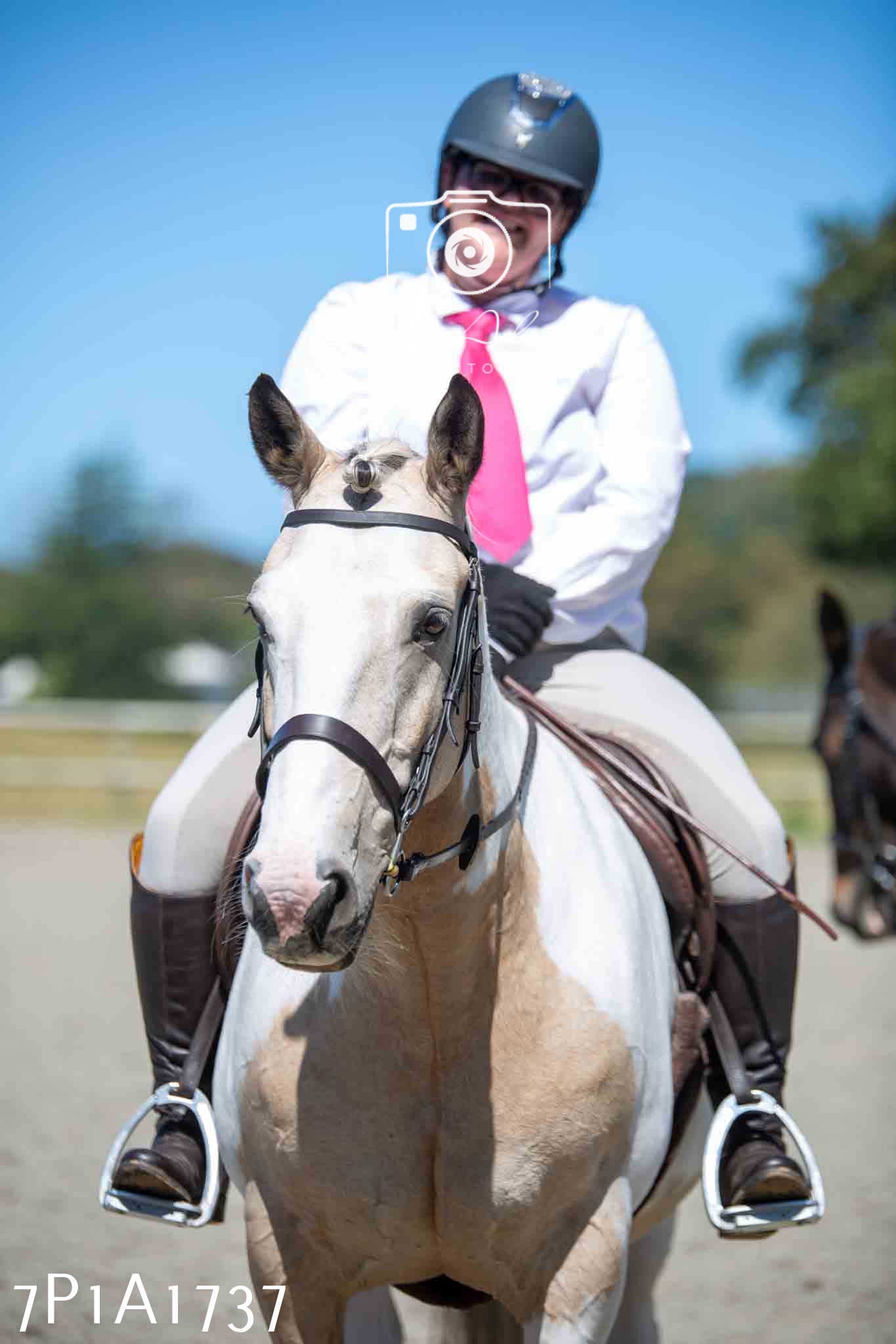 Home Farm Annual Show -Ridden Showing 20th August 2023