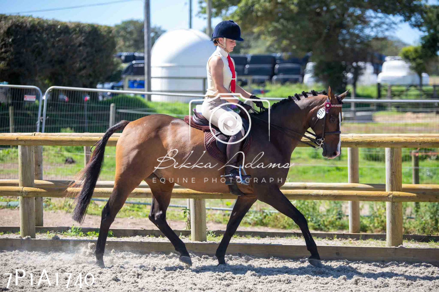 Home Farm Annual Show -Ridden Showing 20th August 2023